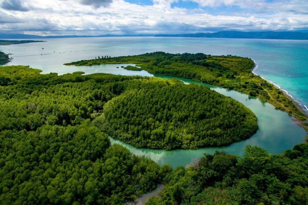 Puerto Jimenez Historic Walking Tour – Puerto Jiménez, Costa Rica