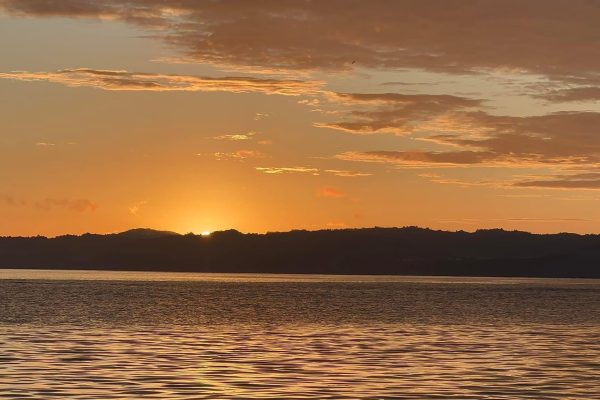 Puerto Jimenez: Kayak Adventure in the Golfo Dulce + Bioluminescence – Puerto Jiménez, Costa Rica