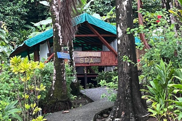 Puerto Jiménez: Private Tour to La Leona Overnight and Corcovado – Puntarenas, Costa Rica