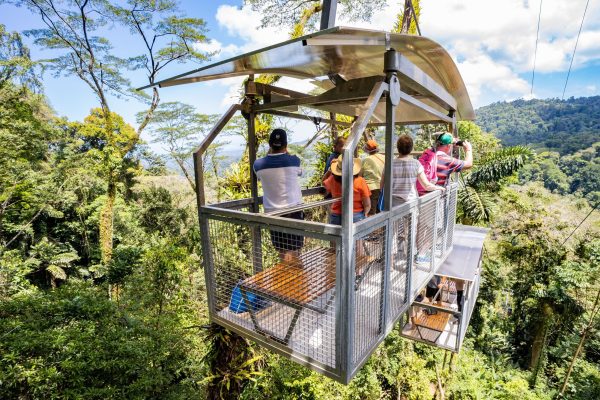 Puerto Limon: Veragua Rainforest & Tortuguero Canal Cruise – Veragua Rainforest, Costa Rica