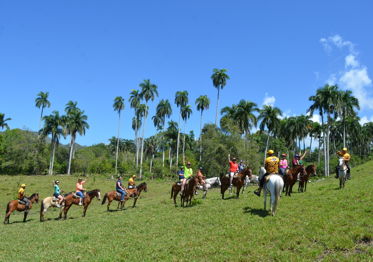 Puerto Plata Combo Experience: Zip-line + Horseback Riding – Puerto Plata, Dominican Republic