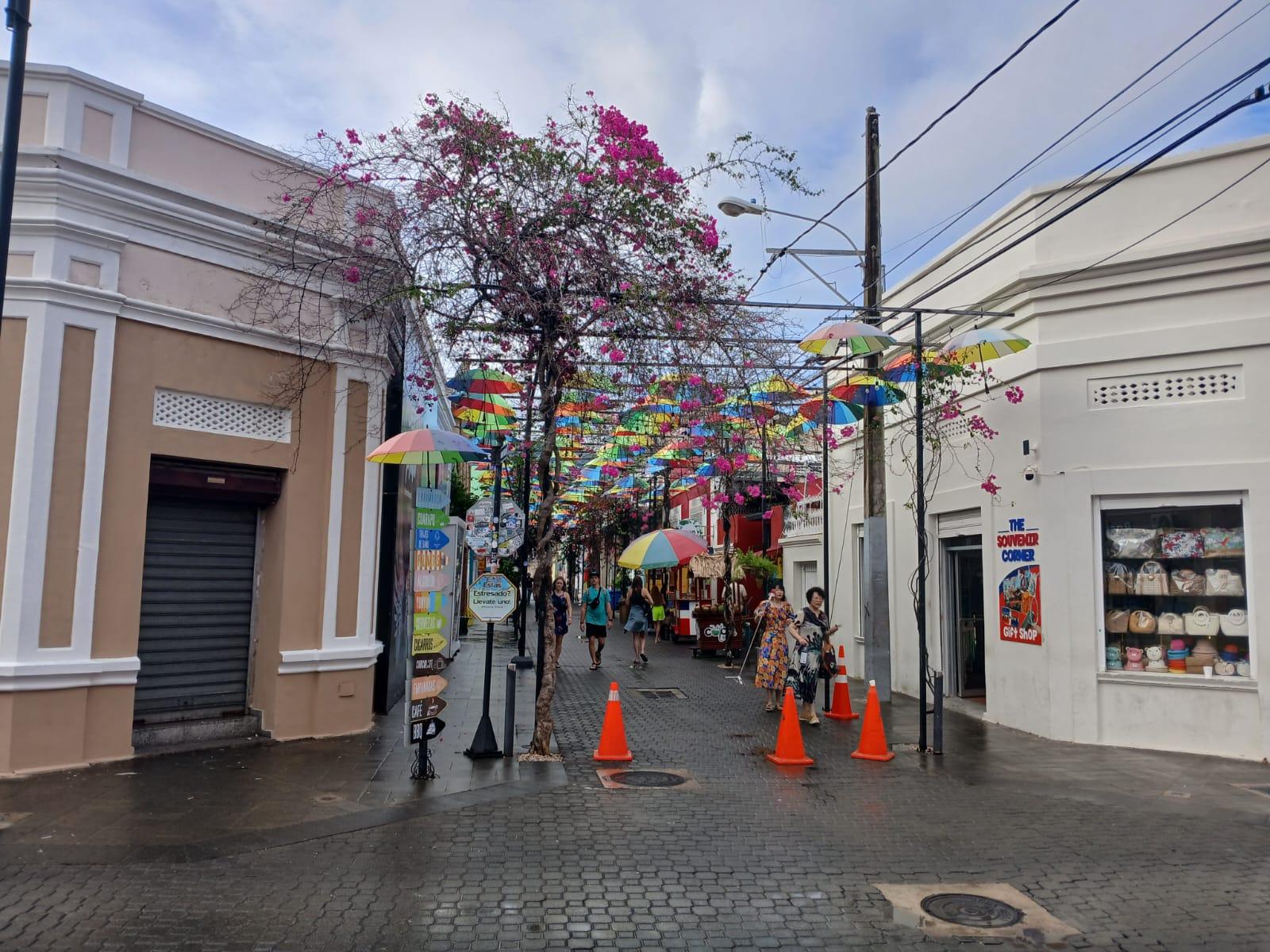 Puerto Plata: Countryside tour with Monkey Home, butterflies, and coffee – Puerto Plata, Dominican Republic