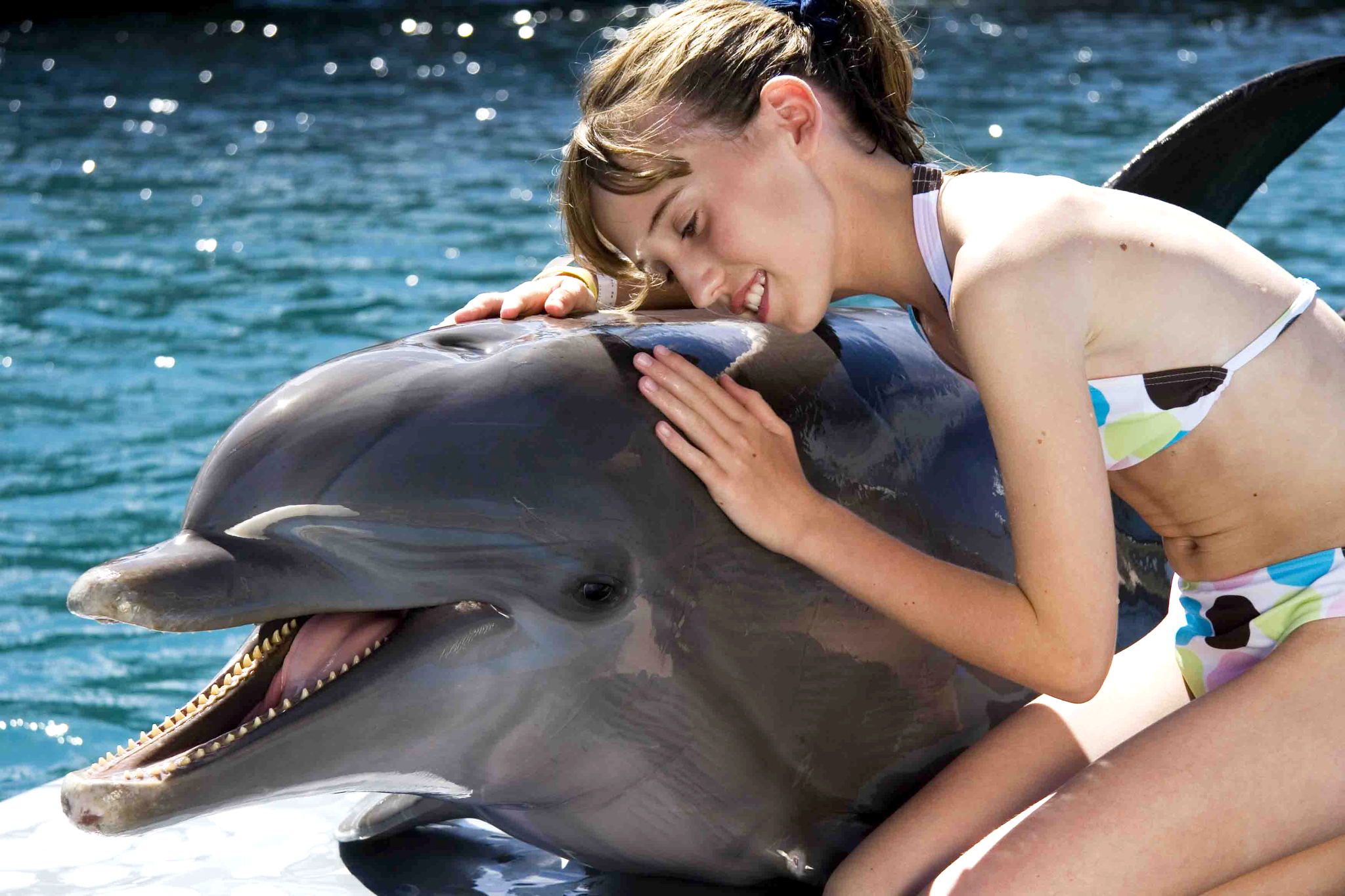 Puerto Plata: Dolphin Encounter at Ocean World – Puerto Plata, Dominican Republic