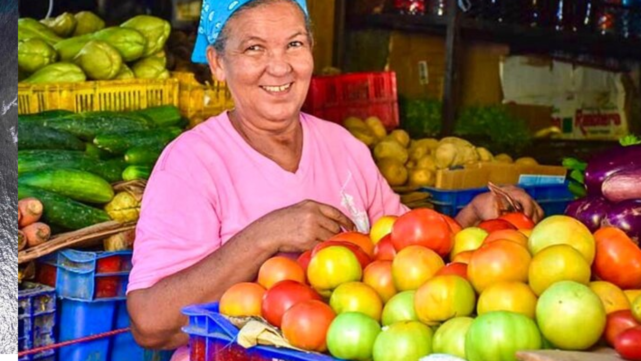 Puerto Plata: Guided City Tour with Historic Center and San Felipe Fort – Puerto Plata, Dominican Republic