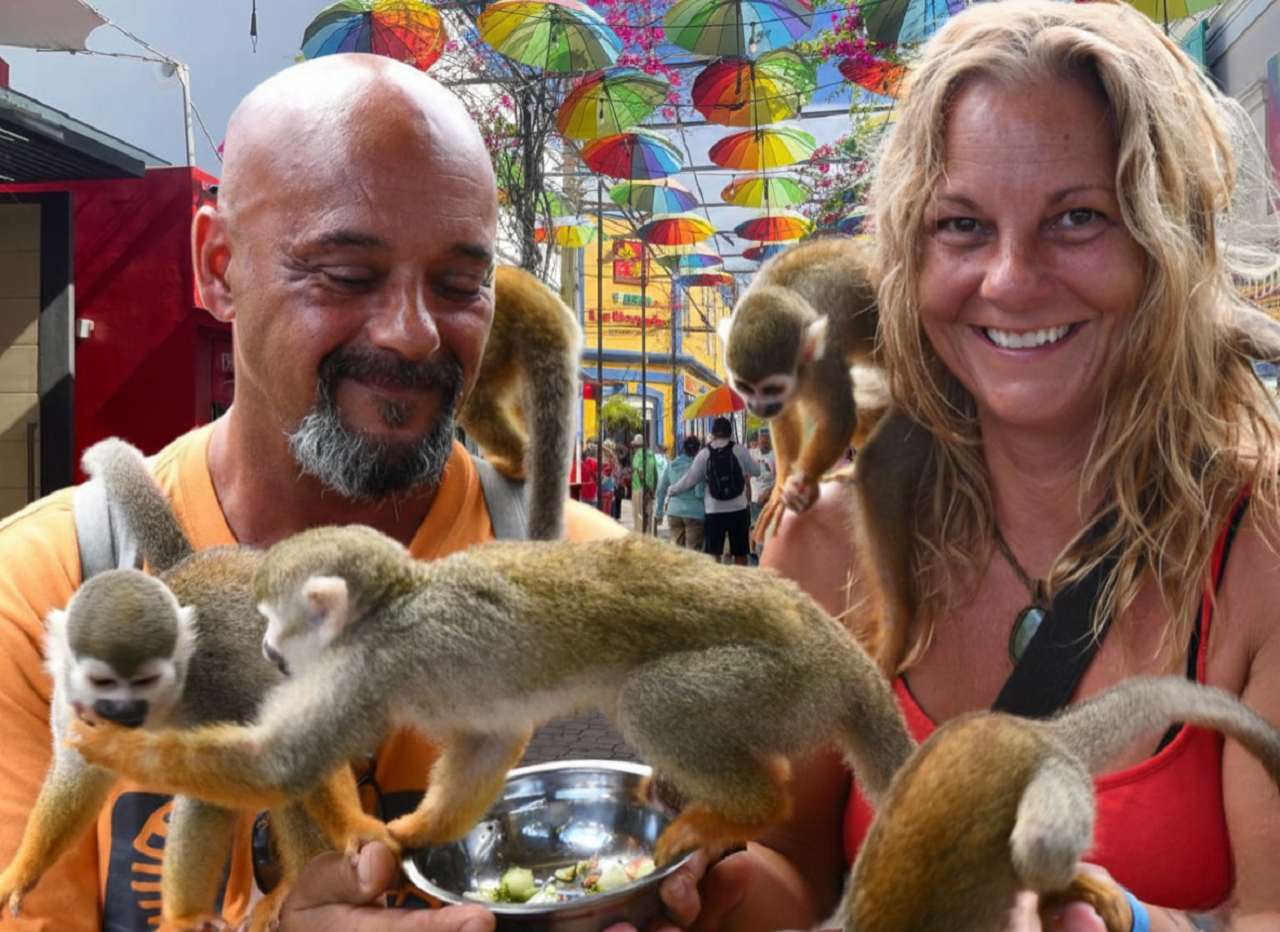 Puerto Plata: Monkey Sanctuary, Fortress & Rum Tasting Tour – Puerto Plata, Dominican Republic