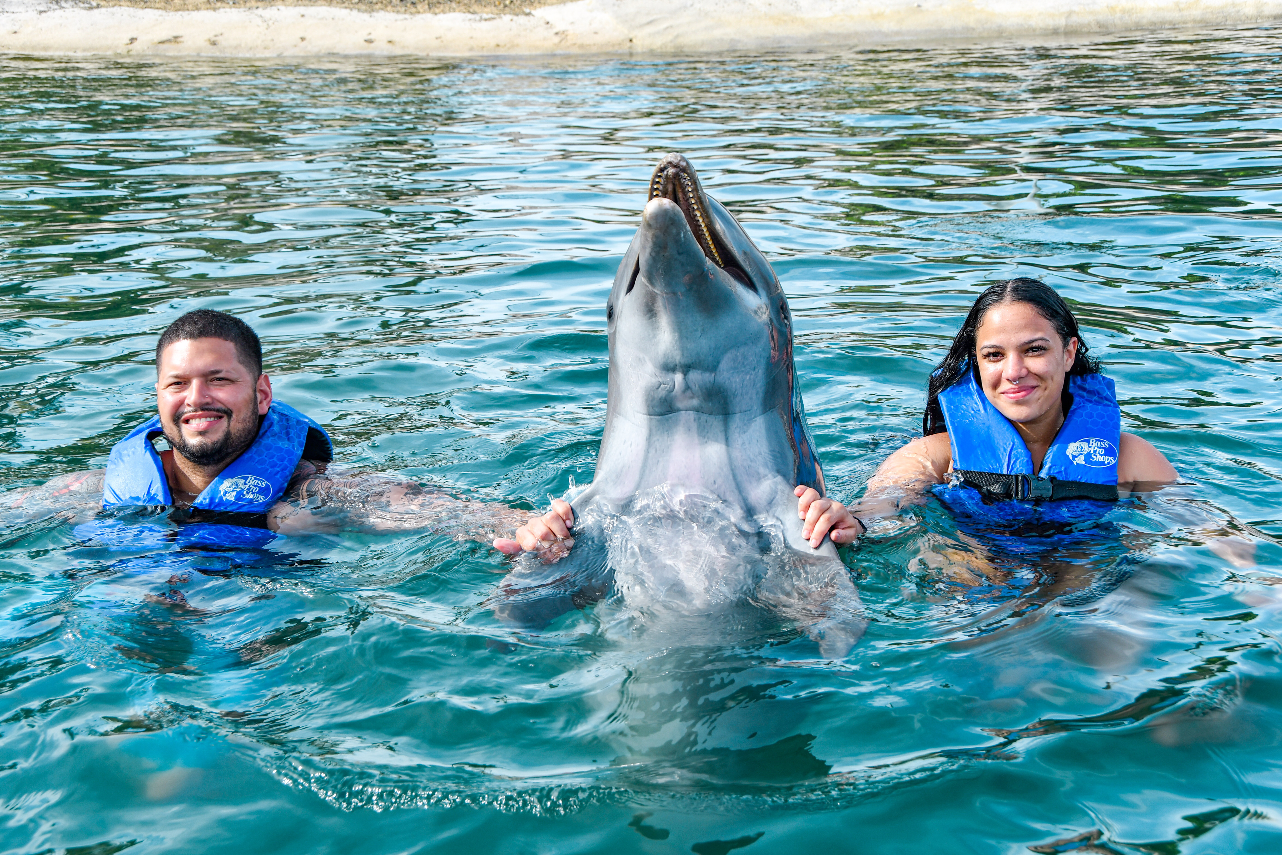 Puerto Plata: Ocean World Adventure Park Swim with Dolphins – Puerto Plata, Dominican Republic