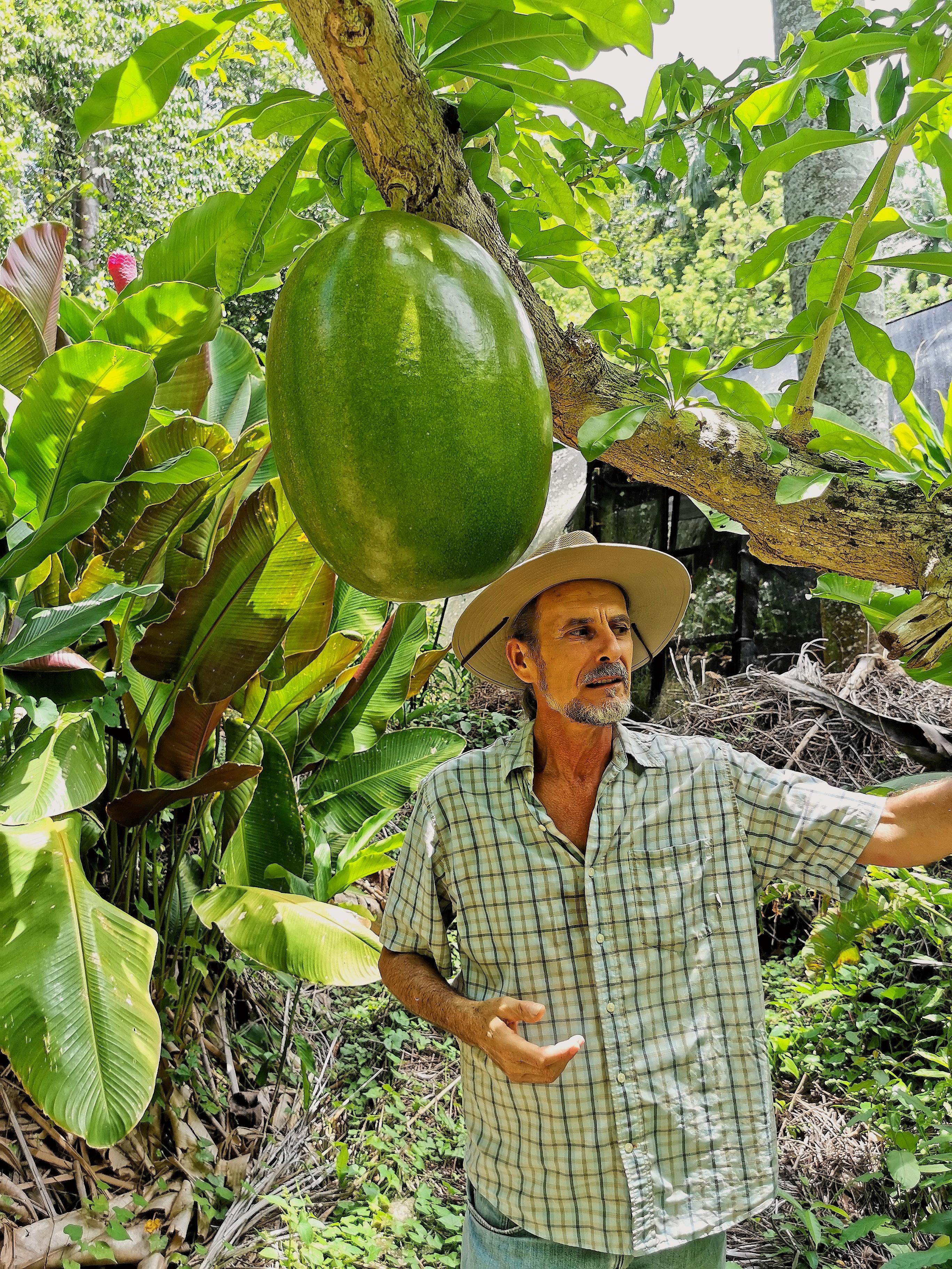 Puerto Plata: Taino Valley and Dominican Flavor Experience – Puerto Plata, Dominican Republic