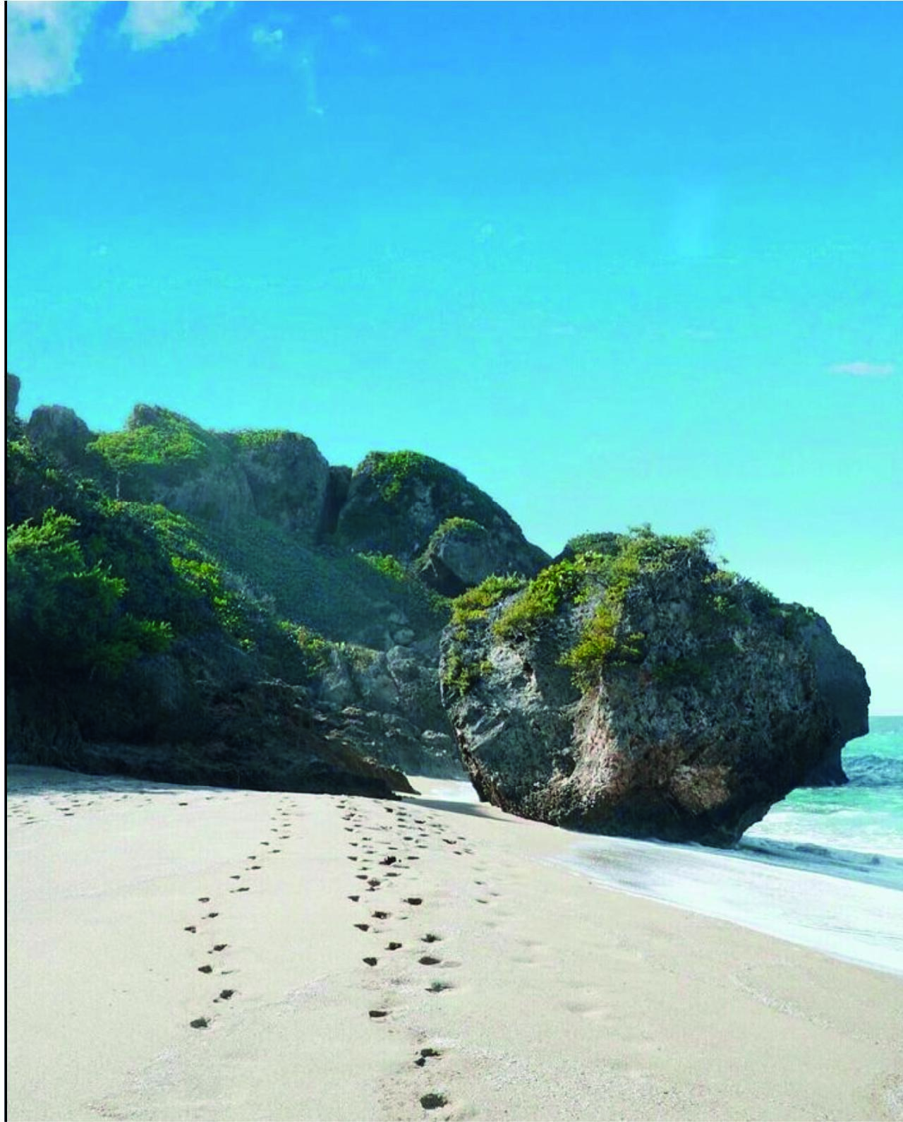 Puerto Rico: Aguadilla West Coast Beaches & Gastronomy Tour – Punta Borinquén Beach, Puerto Rico