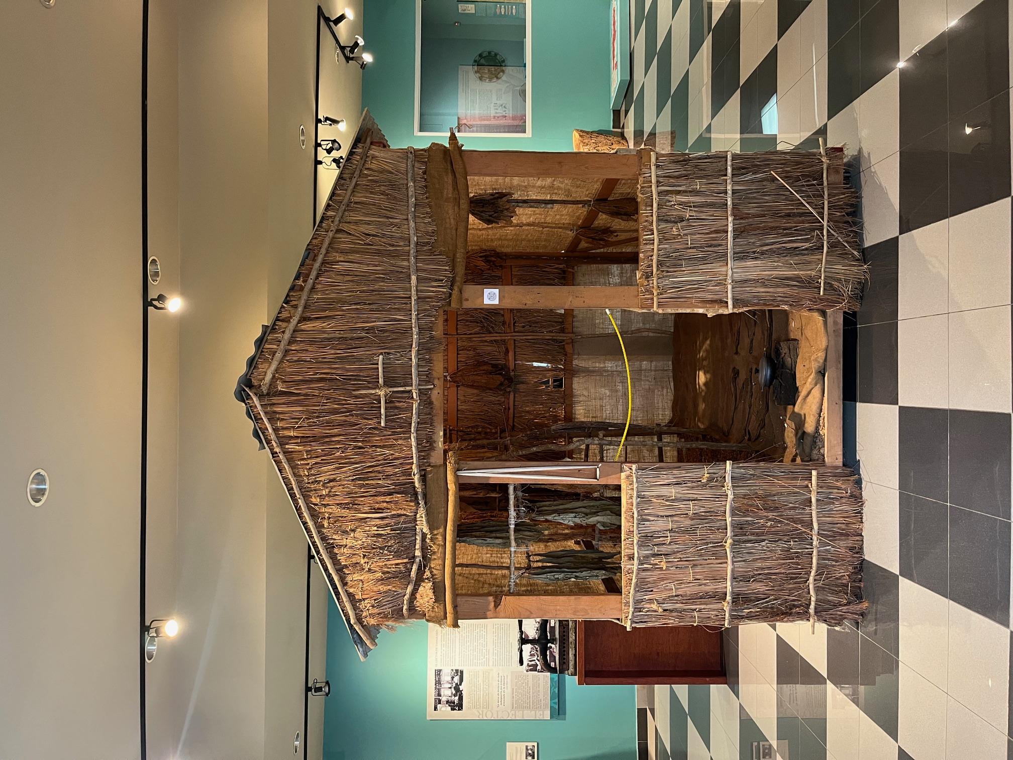 Puerto Rico: One day road trip around the island private – San Juan, Puerto Rico