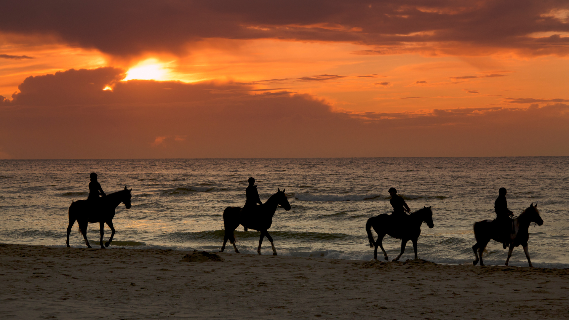 Puerto Rico: Sunset Horseback Rides in Aguadilla Beach – Punta Borinquén Beach, Puerto Rico