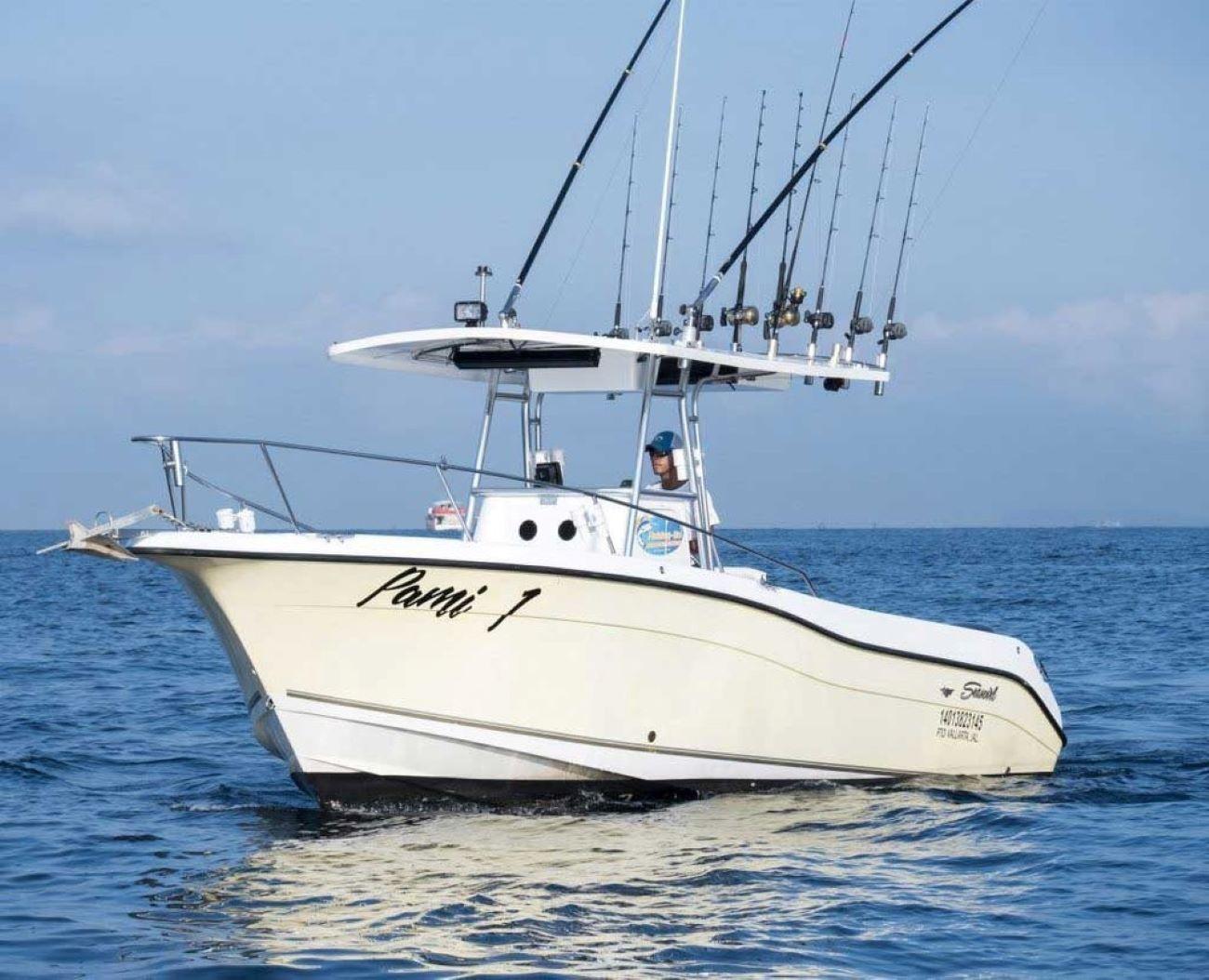 Puerto Vallarta: Fishing Pami I 27′ – Puerto Vallarta, Mexico