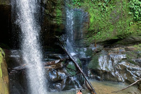 Puerto Viejo&Cahuita: Tour of 3 Waterfalls, Talamanca, Limón – Sixaola River, Costa Rica
