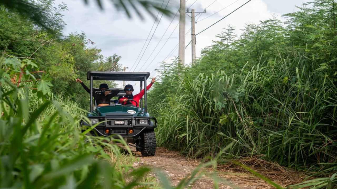 Punta Cana: Art and Forest Way Full-Day Tour with Lunch – Punta Cana, Dominican Republic