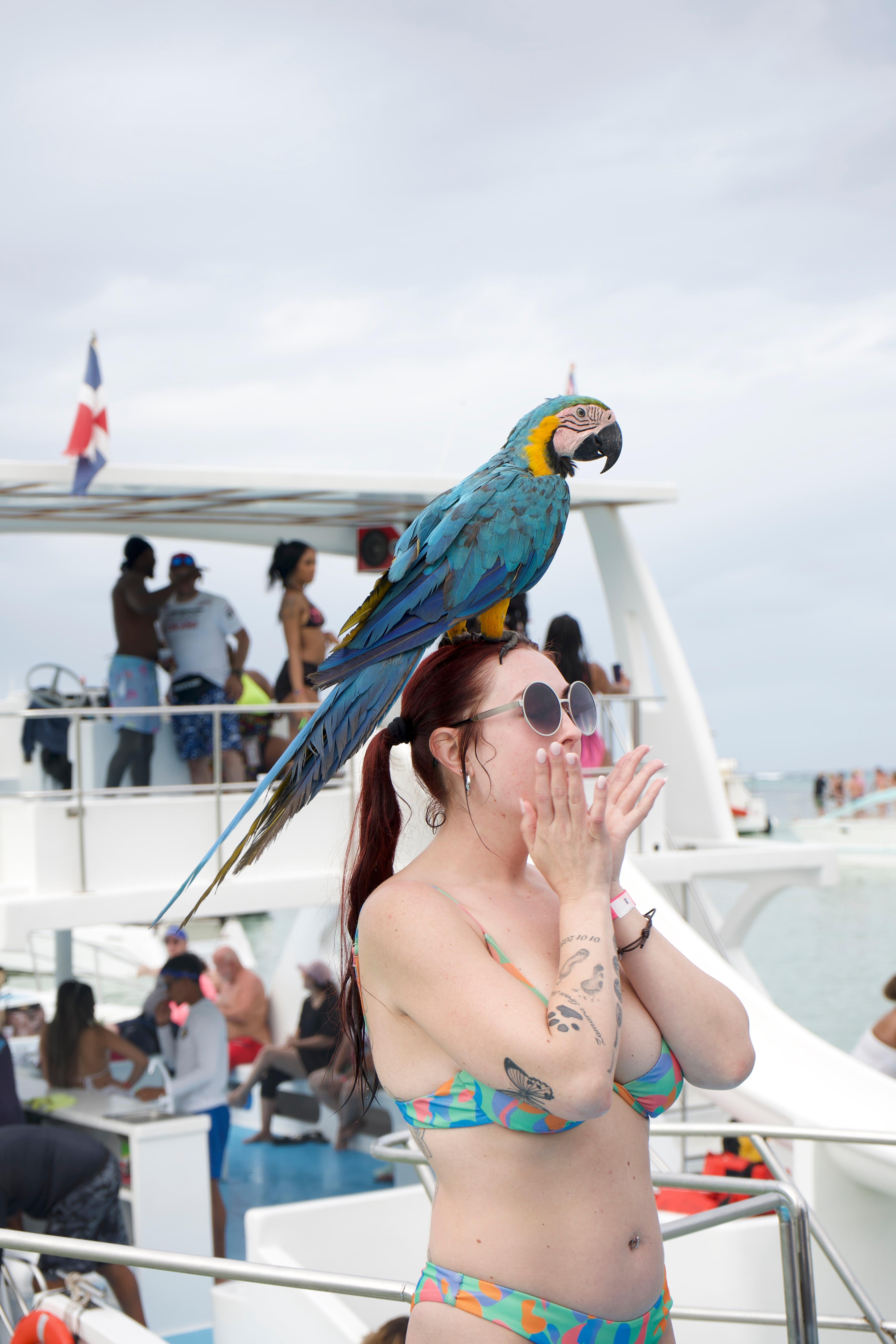 Punta Cana Booze Cruise, Snorkeling, with Sand-Bar – Punta Cana, Dominican Republic