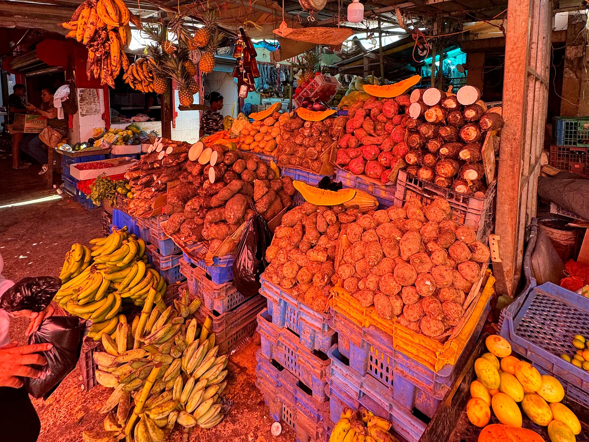 Punta Cana Cultural Tour History and Traditions Small Group – Punta Cana, Dominican Republic