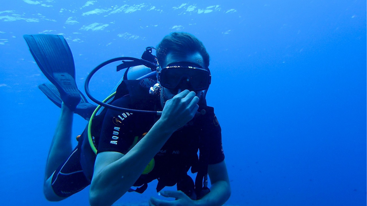 Punta Cana: Dive the Coral Paradise of Catalina Island – Punta Cana, Dominican Republic