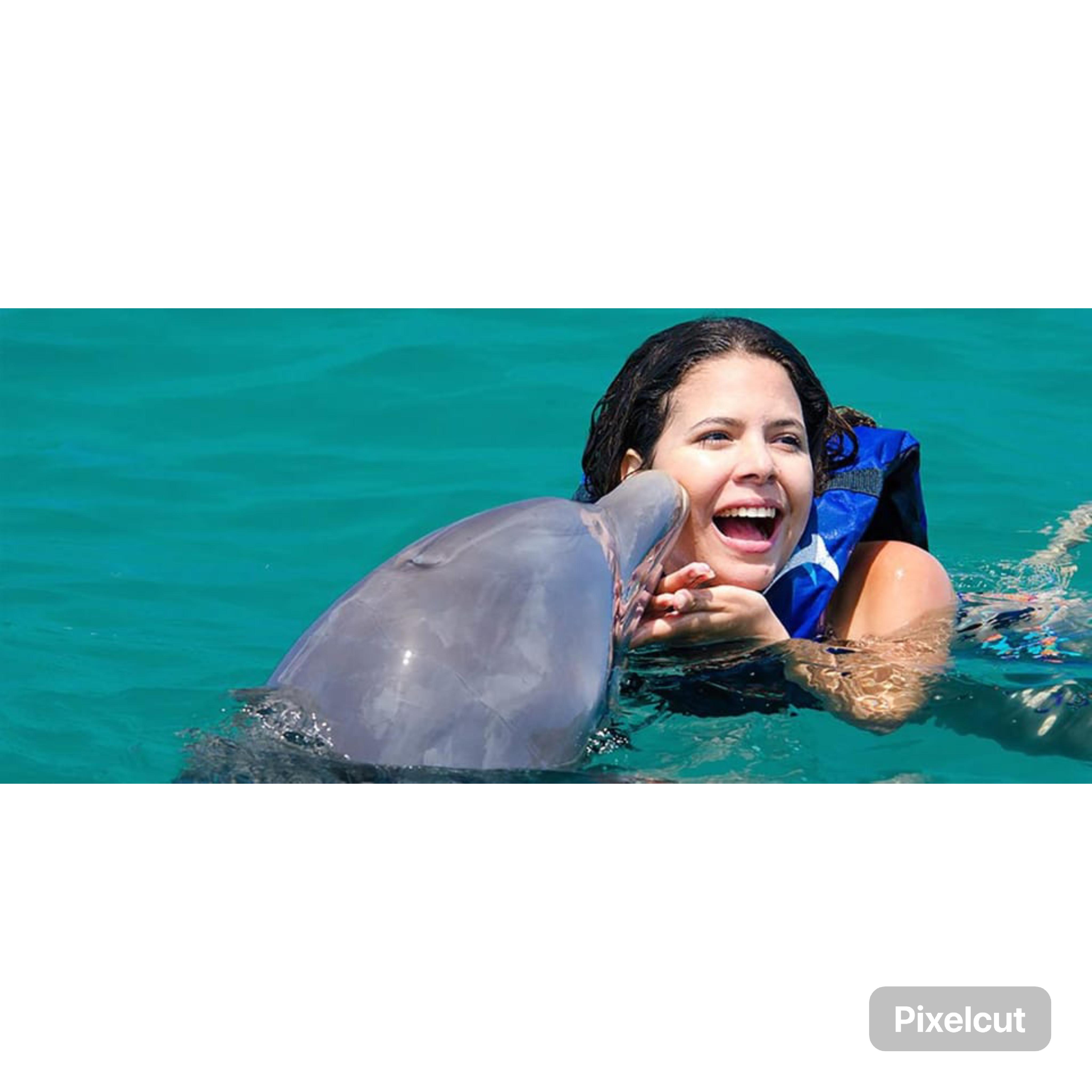 Punta Cana: Dolphin Explorer Park Entry, Swim, or Encounter – Punta Cana, Dominican Republic