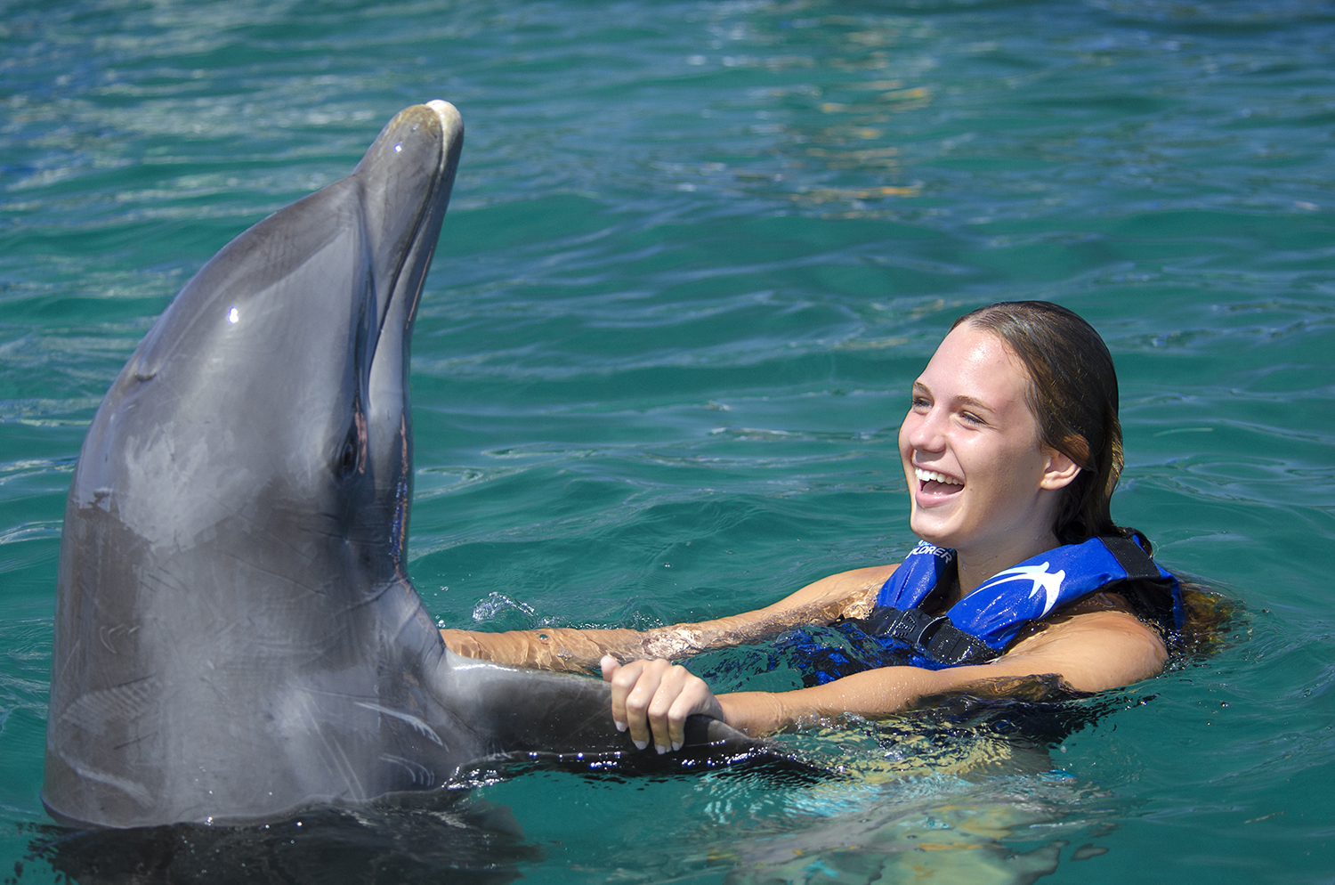 Punta Cana: Dolphin Explorer Swims and Interactions – Punta Cana, Dominican Republic