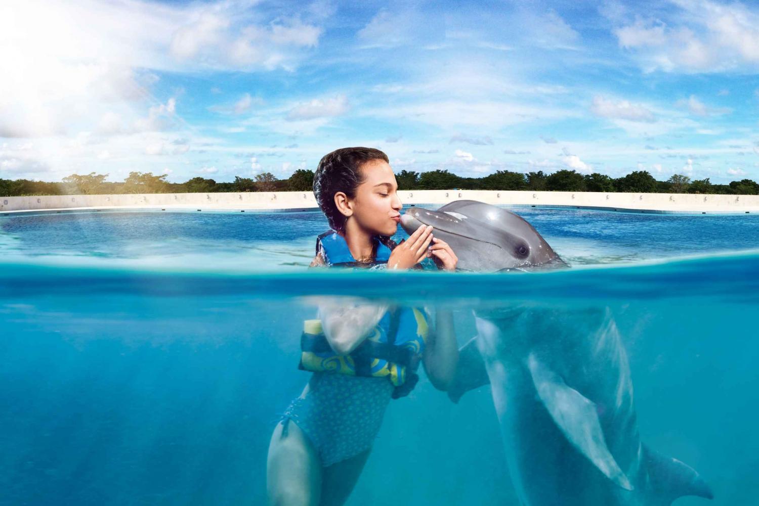 Punta Cana: Dolphin Interaction Experience & Hotel Transfers – Punta Cana, Dominican Republic