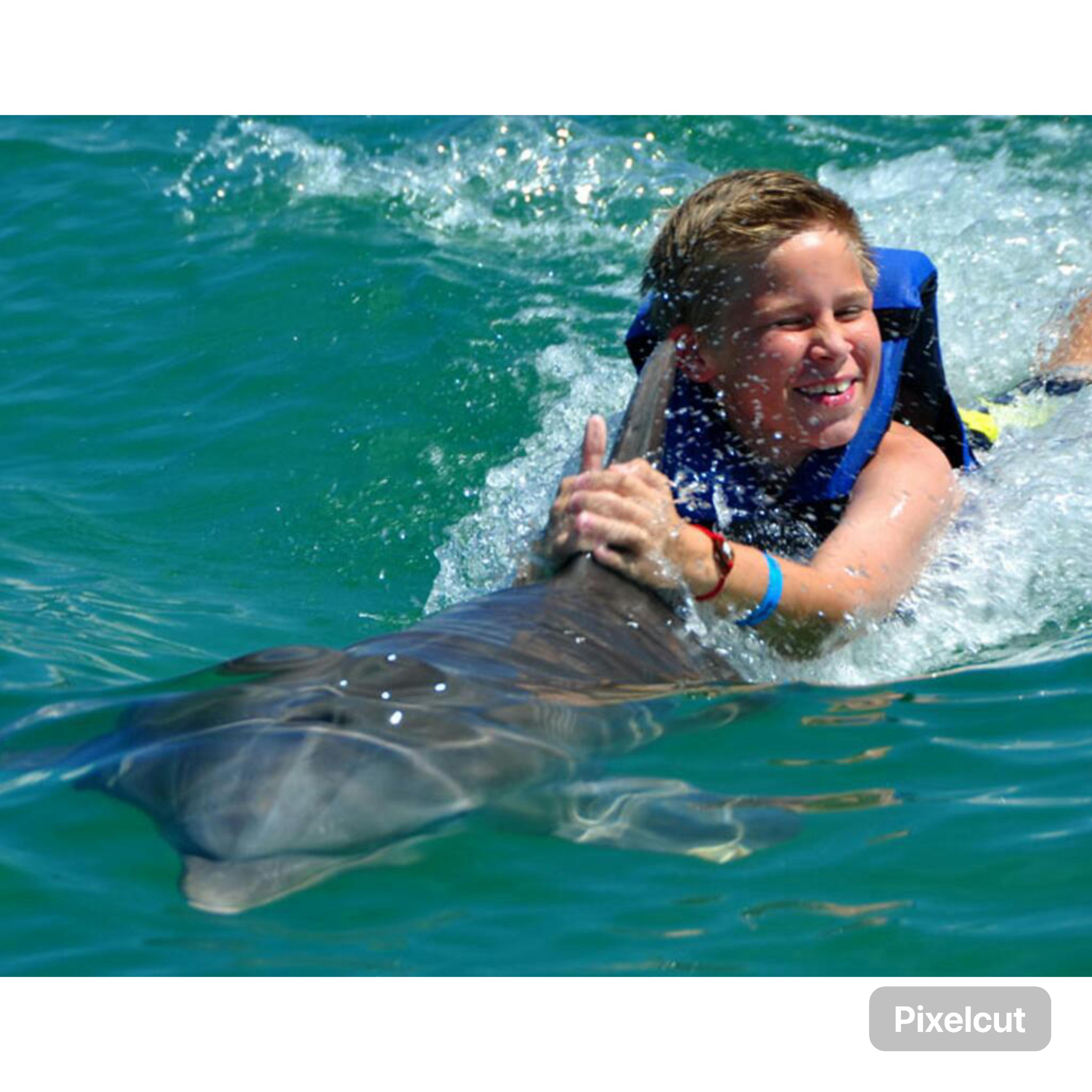 Punta Cana: Dolphin Park Entry and Swim with Dolphins – Punta Cana, Dominican Republic