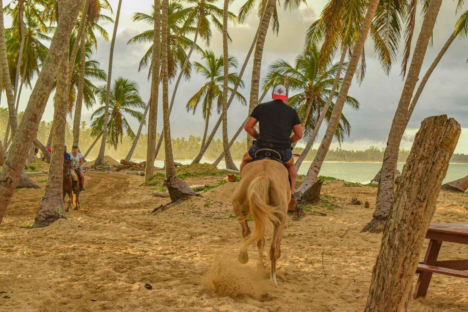 Punta Cana: Haitises, Montaña R. & Horse Ride Limón Beach – Punta Cana, Dominican Republic