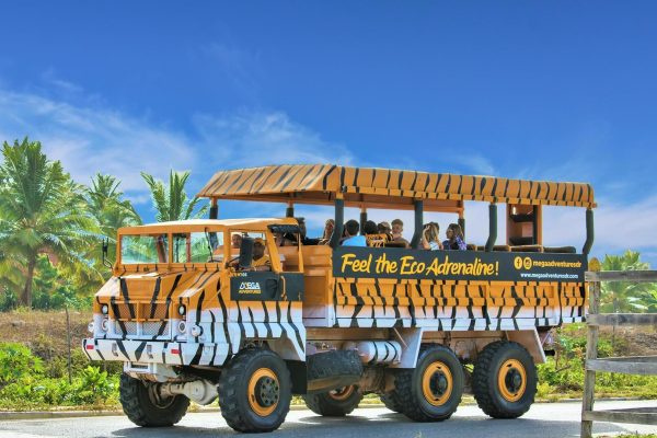 Punta Cana: Higüey City Tour with Basilica & Market Visit – Punta Cana, Dominican Republic