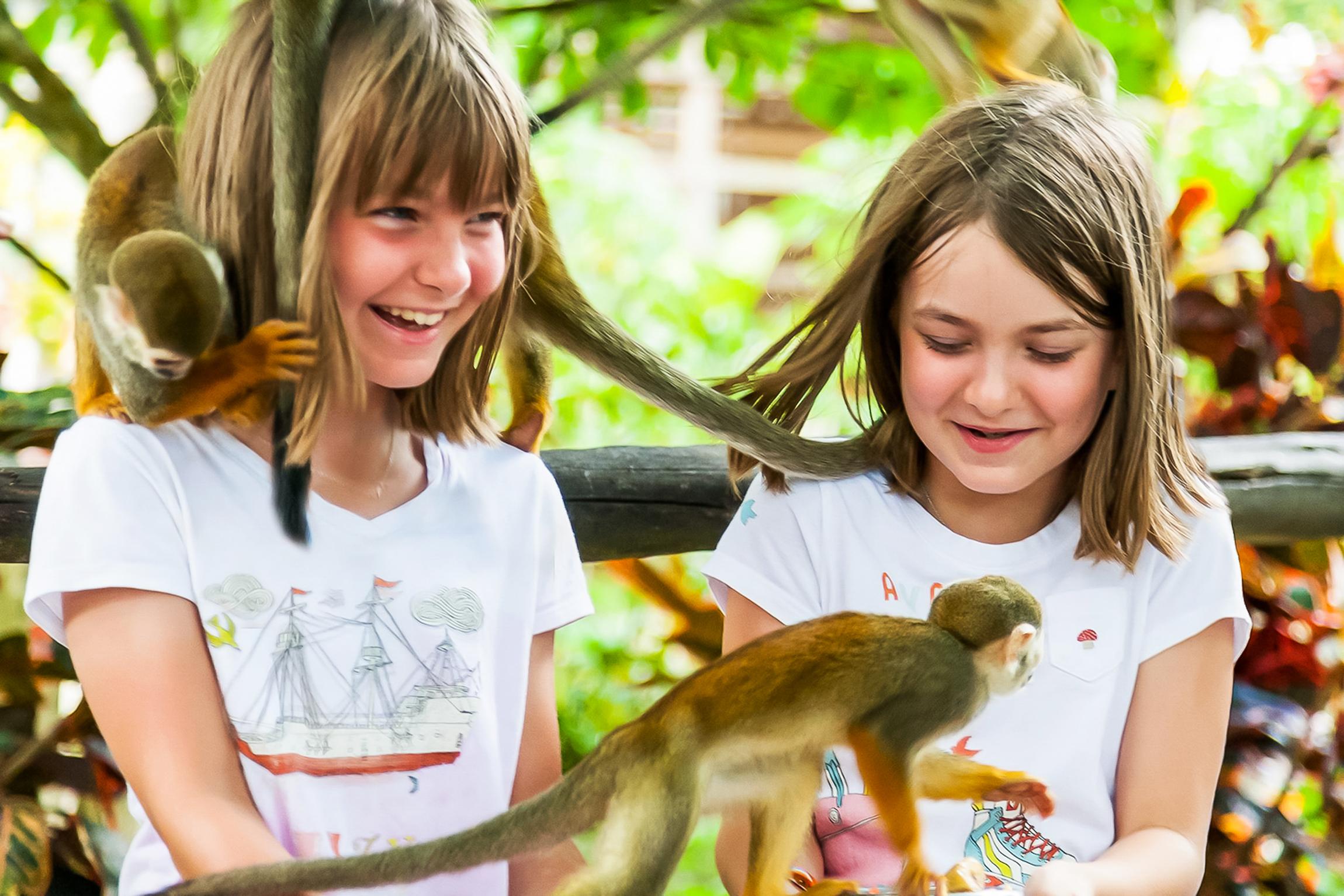 Punta Cana: Monkey Land Half-Day Safari and Plantation – Punta Cana, Dominican Republic