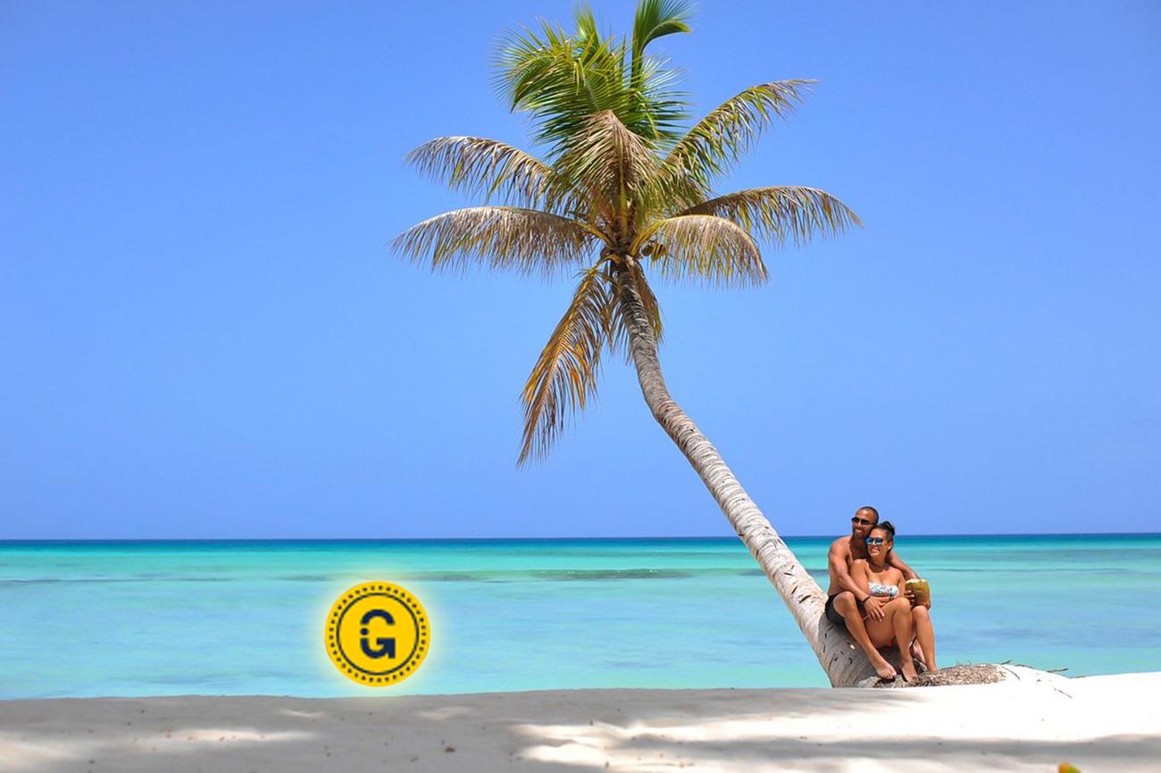 Punta Cana: Saona Island Day Tour and Catamaran Party – Punta Cana, Dominican Republic