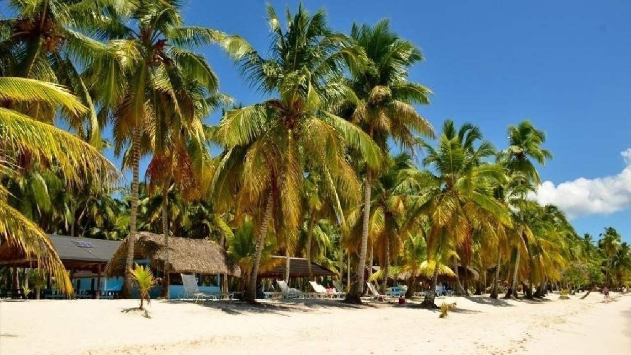 Punta Cana: Saona Island Day Trip with Lunch & Drinks – Punta Cana, Dominican Republic