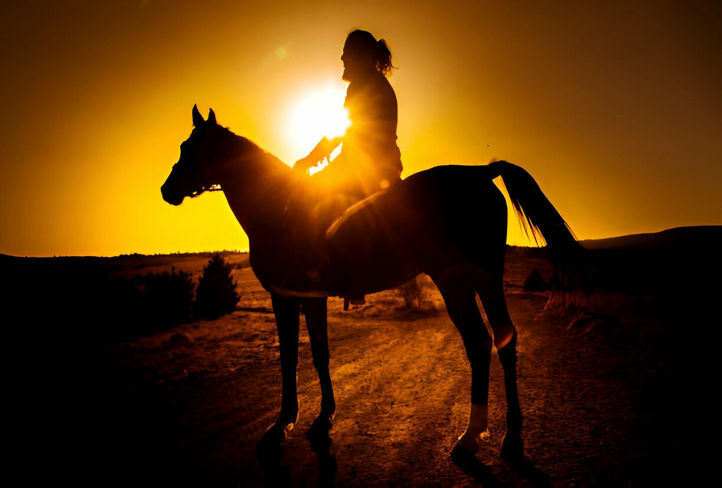 Punta Cana: Sunset Horseback Ride in Macao Beach and Forest – Punta Cana, Dominican Republic