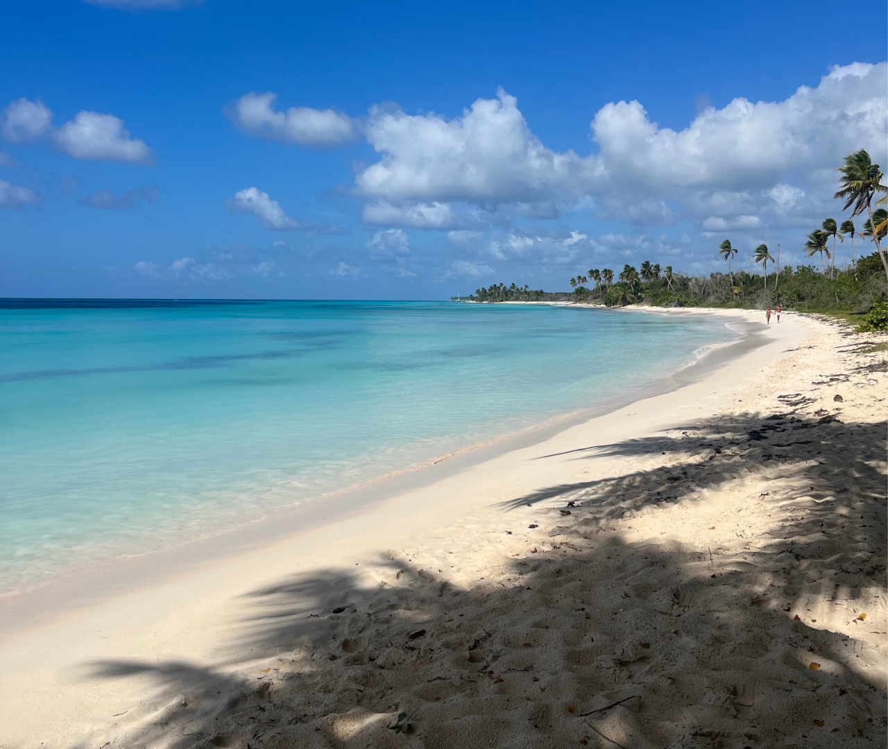 Punta Cana: VIP Private Speedboat Escape to Saona Island – Punta Cana, Dominican Republic