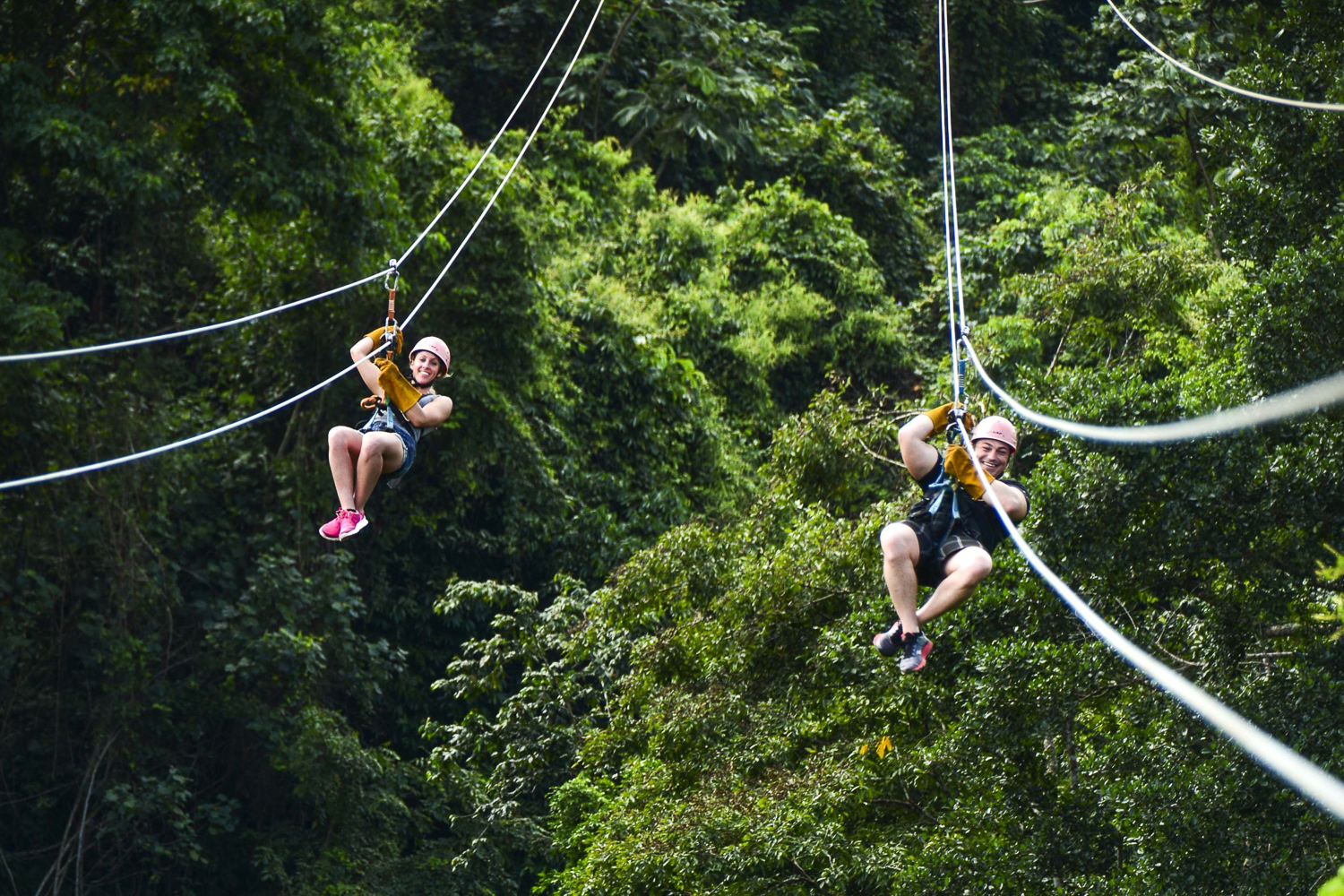Punta Cana: Ziplines Adventures & Monkeyland Entry – Punta Cana, Dominican Republic
