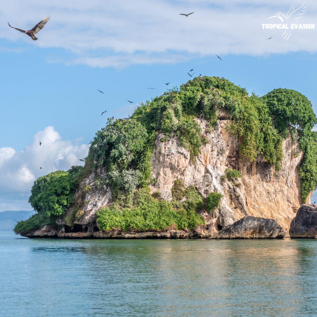 Punta Cana/Bayahibe: Caño Hondo & Los Haitises Tour – Punta Cana, Dominican Republic