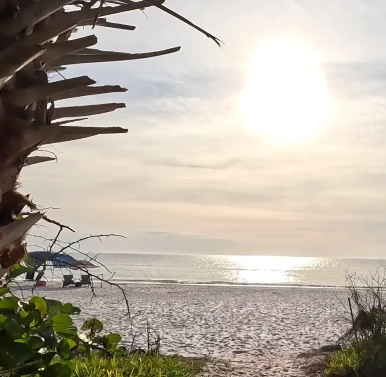 Punta Gorda: Gulf Coast Sunset Cruise – Punta Gorda, Florida