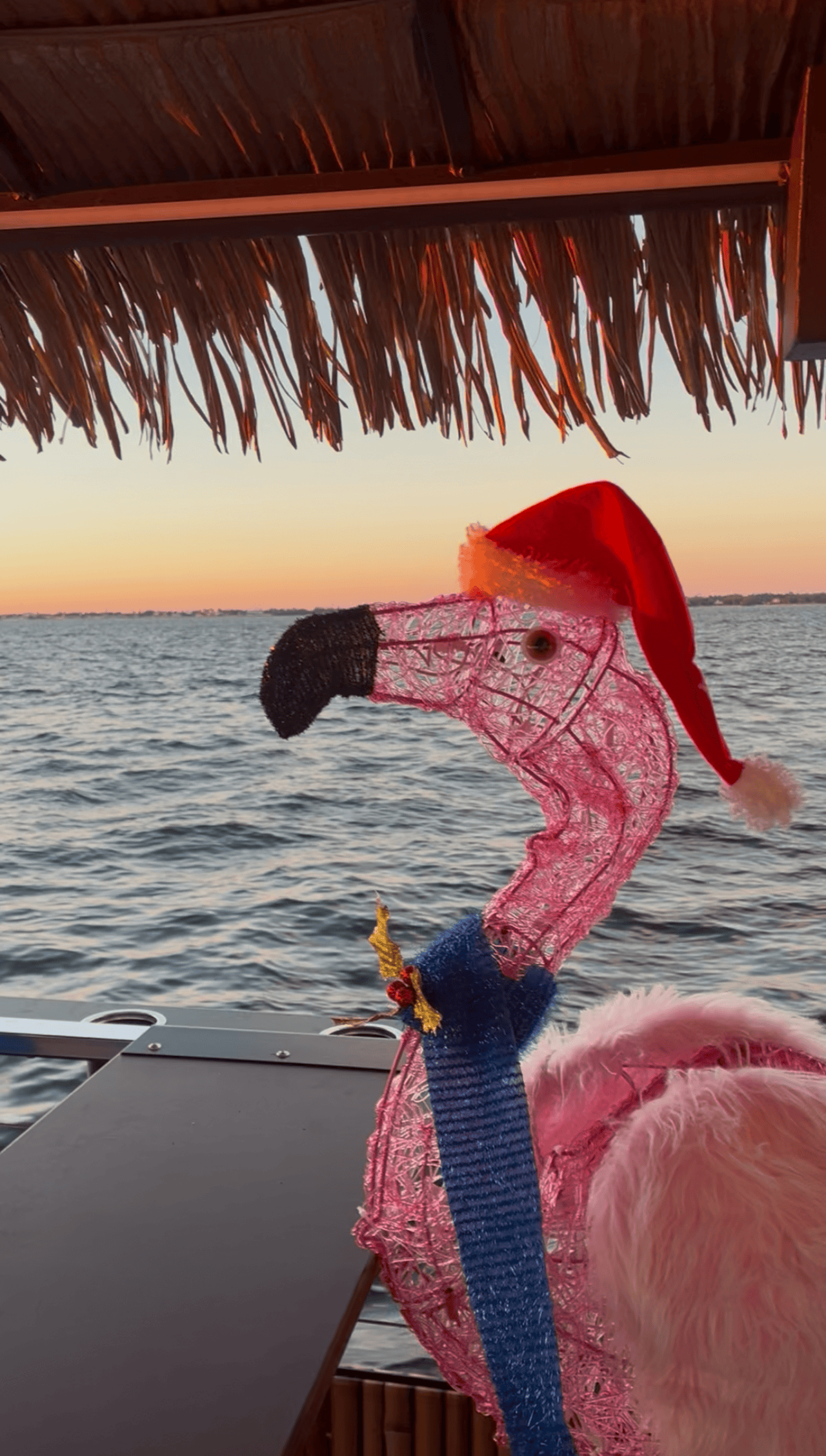 Punta Gorda: Holiday Lights Tiki Boat Cruise – Punta Gorda, Florida