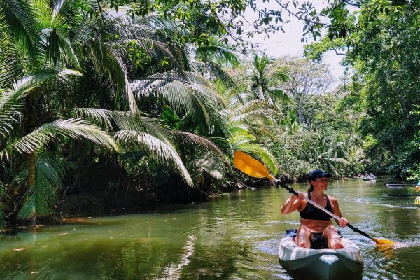 Punta Uva: Kayak and Sloth Watching Tour – Punta Uva, Costa Rica