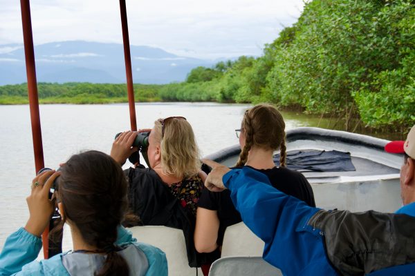 Quepos: Damas Island Authentic Local Mangrove Boat Tour – Quepos, Costa Rica