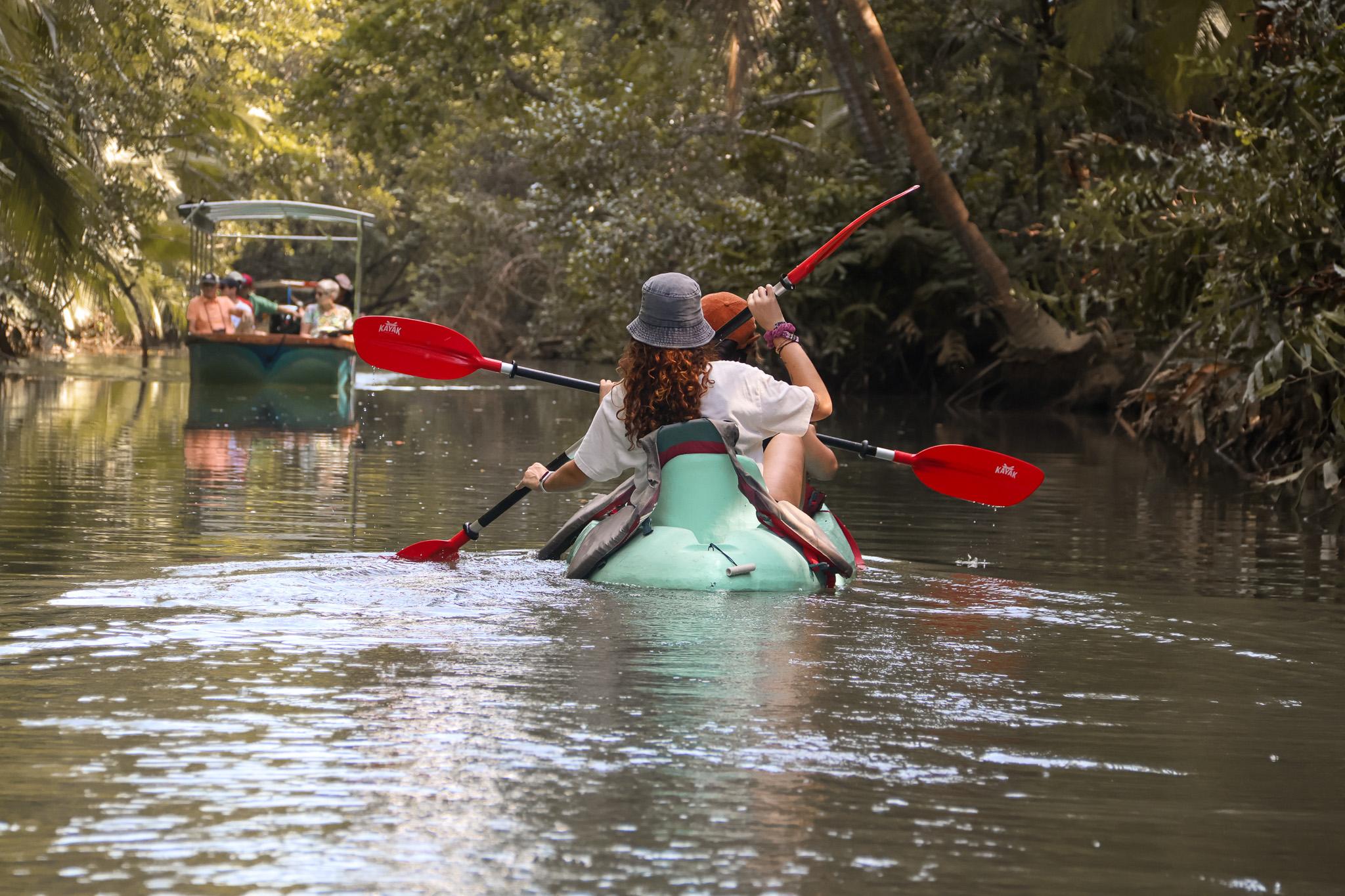 Quepos: Kayak Tour in the Mangroves Near Manuel Antonio Park – Quepos, Costa Rica