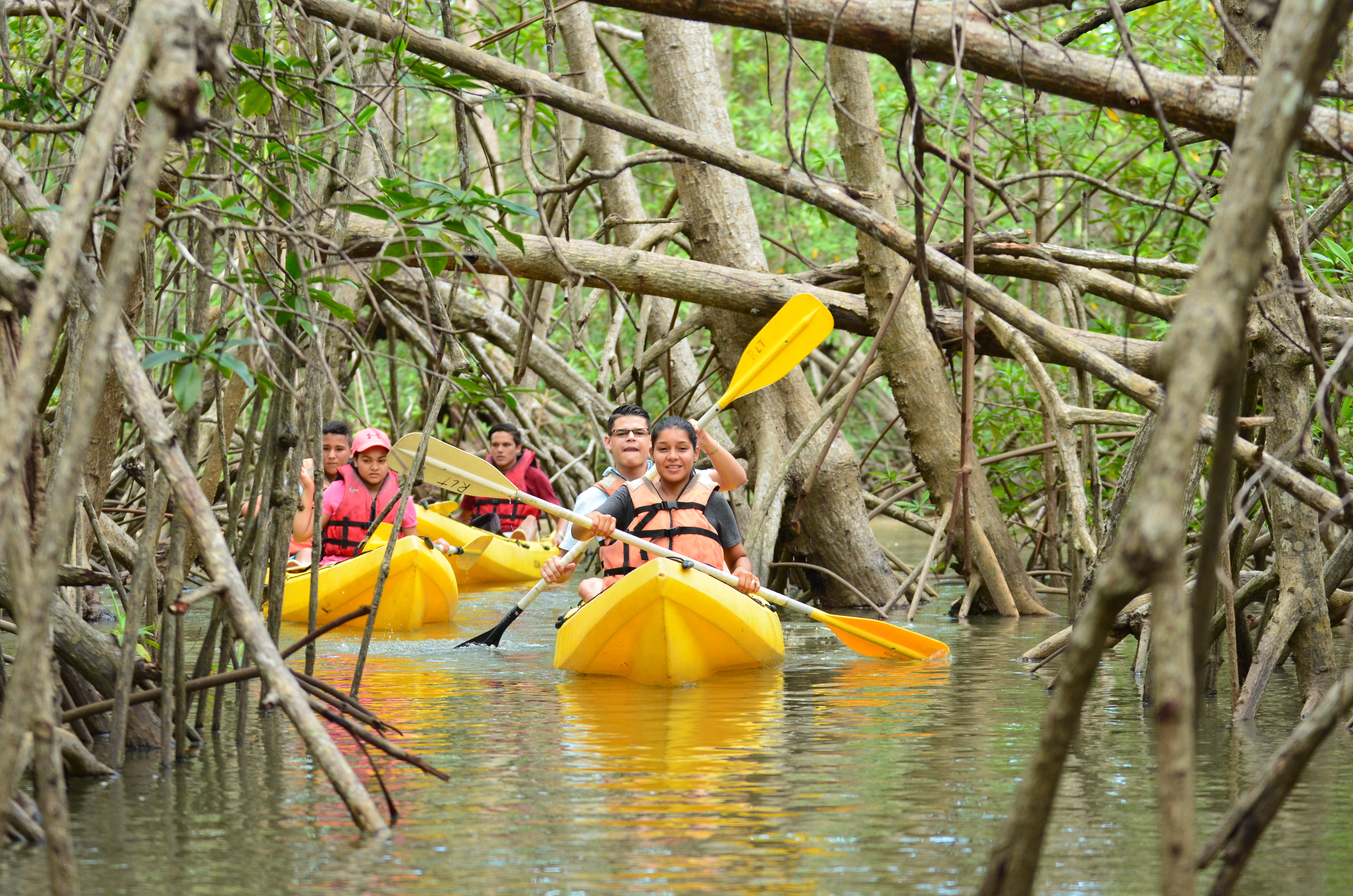Quepos: Mangrove Kayaking Tour – Manuel Antonio National Park, Costa Rica