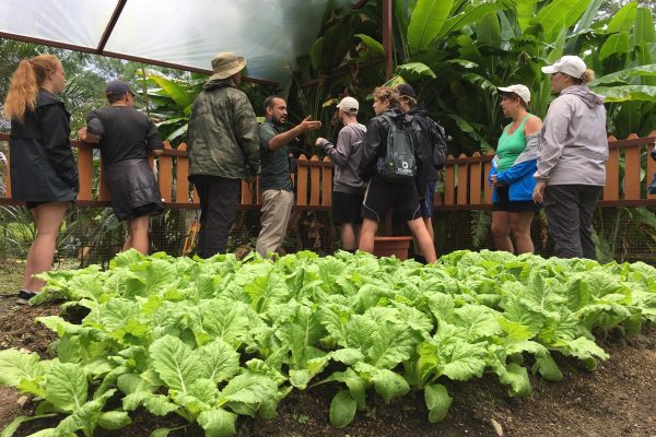Quepos: Manuel Antonio Local Flavor Tour – Quepos, Costa Rica