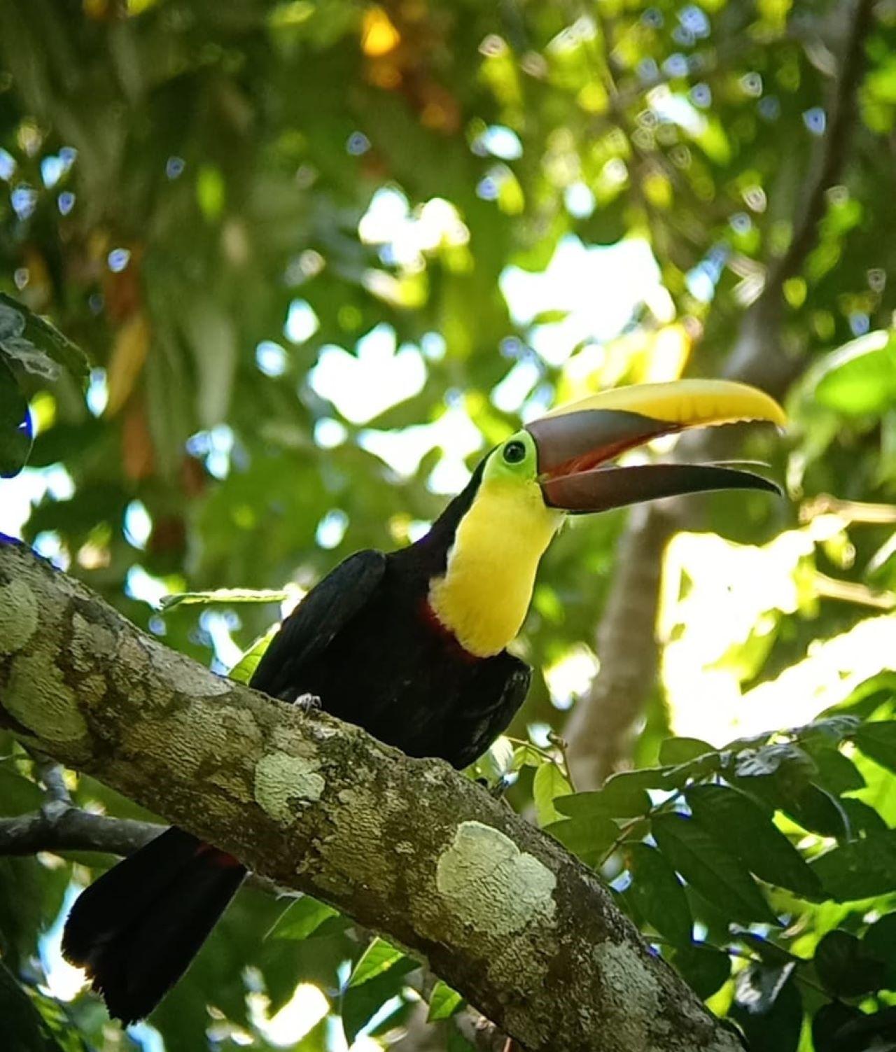 Quepos: Manuel Antonio National Park Guided Tour – Manuel Antonio National Park, Costa Rica
