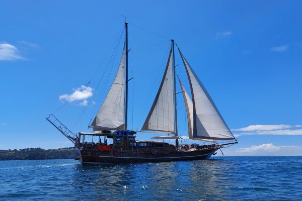 Quepos: Wooden Sail Yacht Cruise with Watersports and Food – Manuel Antonio National Park, Costa Rica