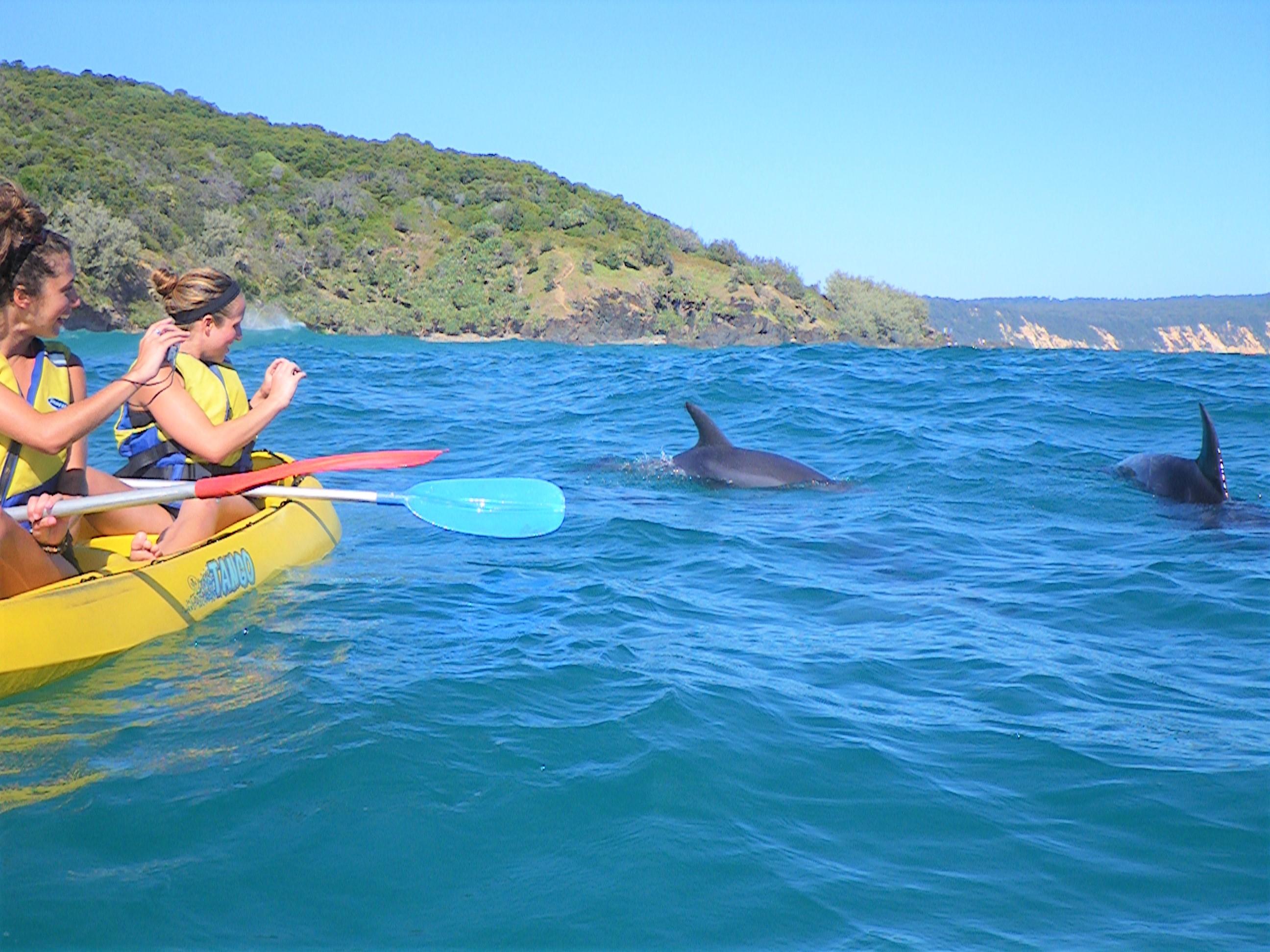 Rainbow Beach: Kayaking with Dolphins and Beach 4WD Tour – Gympie, Australia