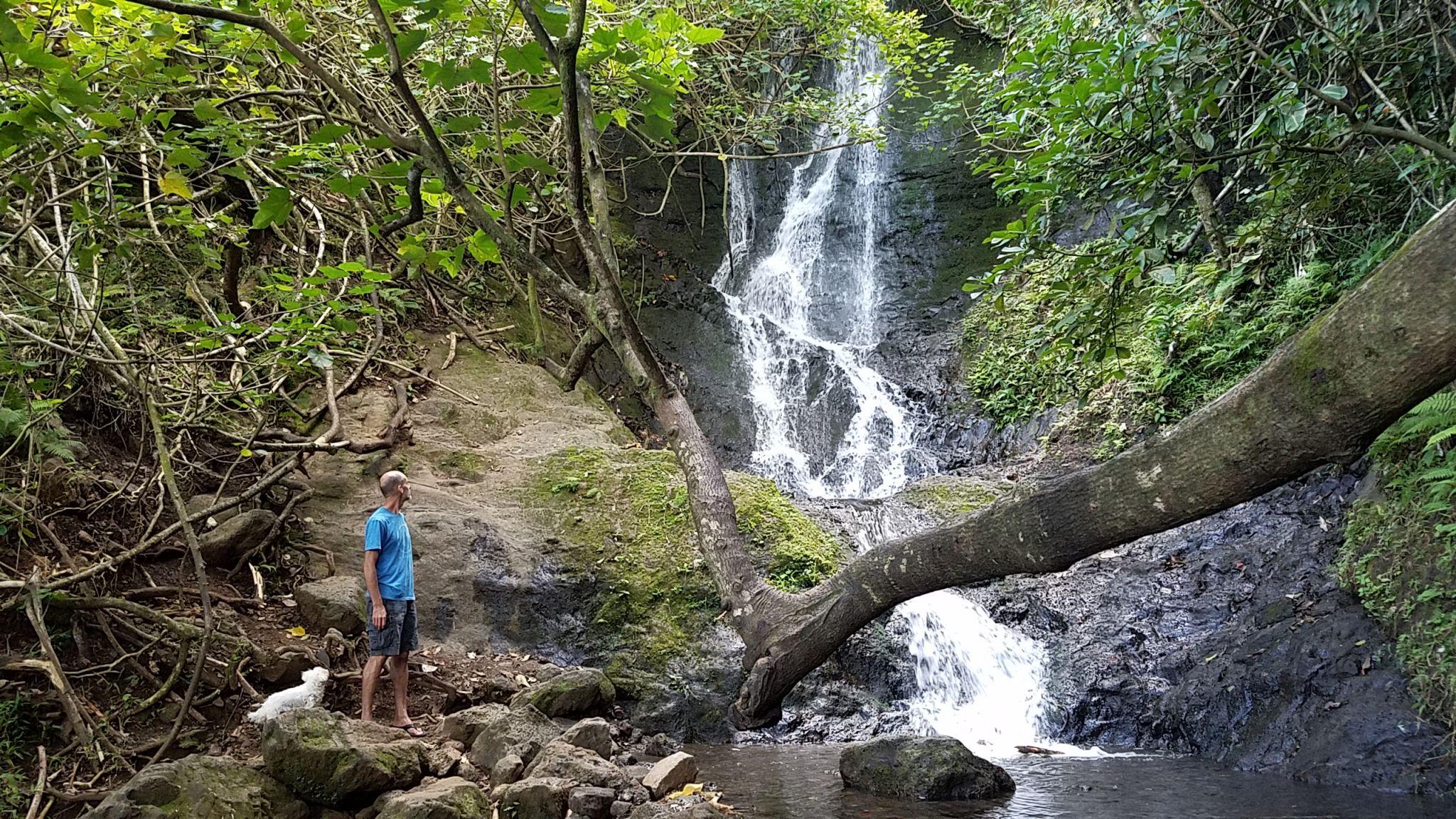 Rainforest to Reef Full-Day: Bike, Hike, Sail and Snorkel – Honolulu, Hawaii
