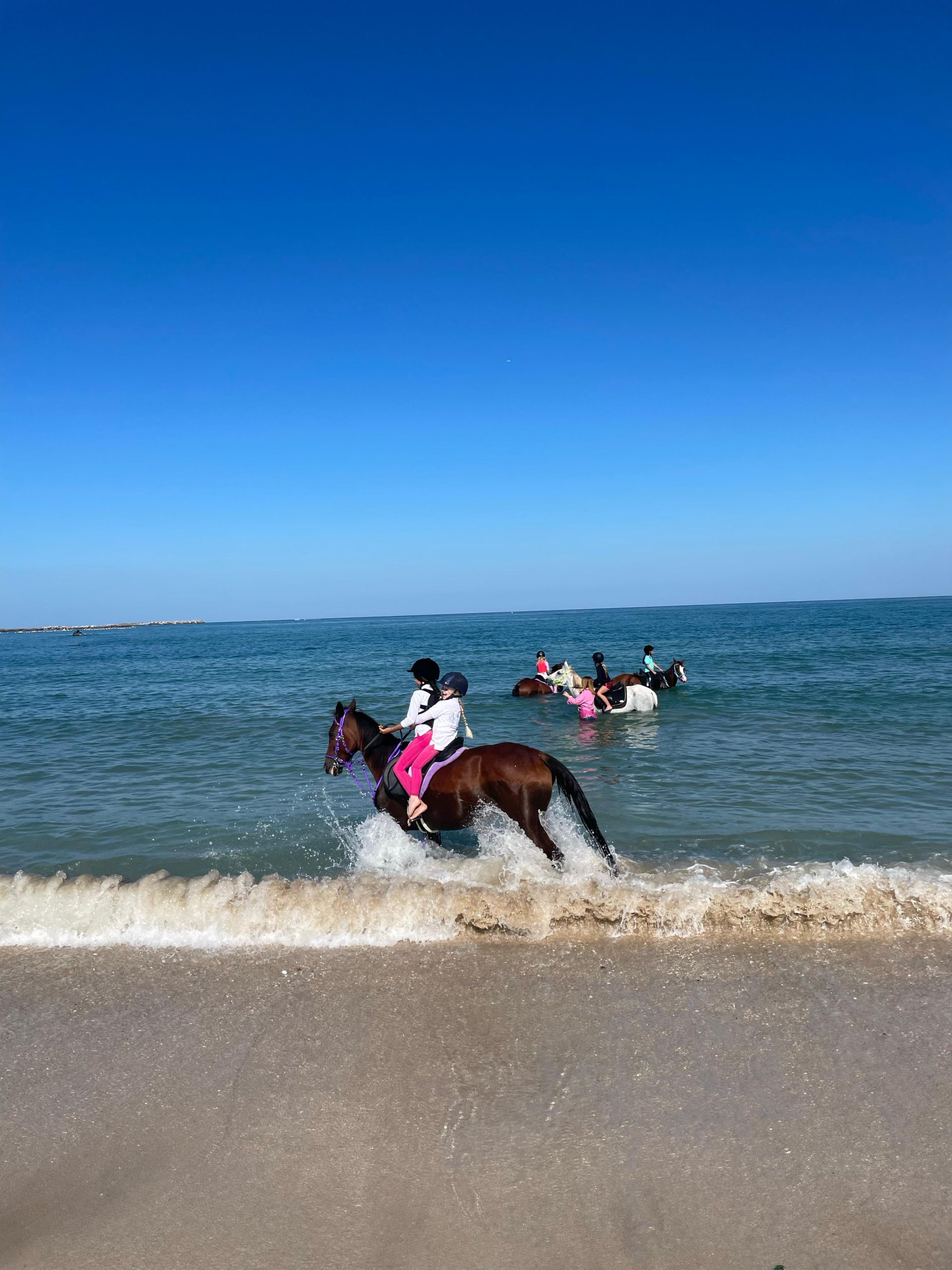 Ras Al Khaimah: Beach Horse Riding and Swimming – Ras al-Khaimah, United Arab Emirates