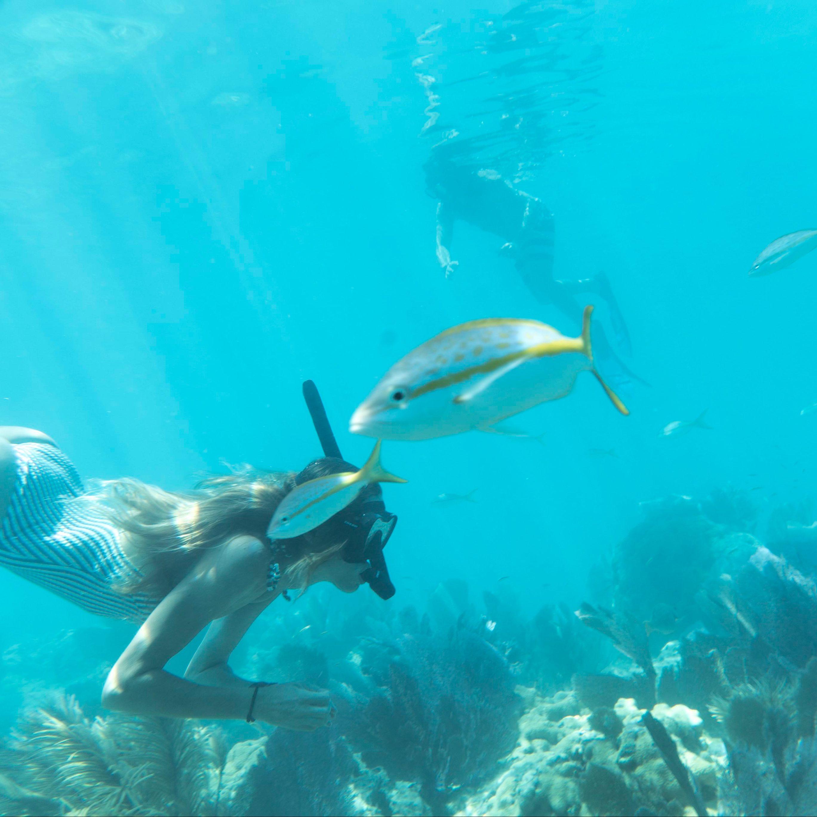 Reef Snorkel + Sandbar & Sunset Sail – Key West National Wildlife Refuge, North Atlantic Coast