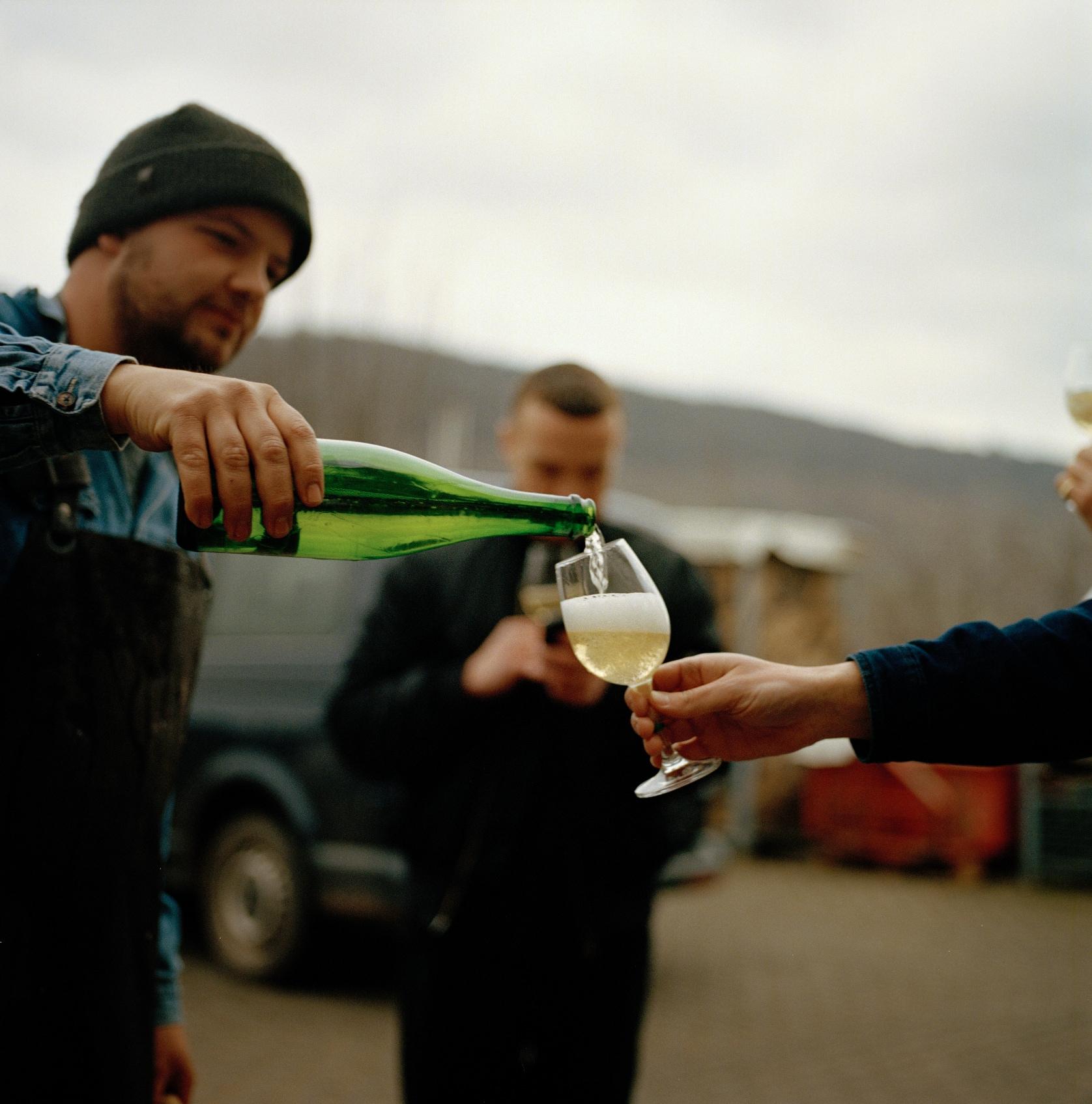 Reil, Mosel: Guided organic wine tasting and cellar tour – Moselle River, Germany