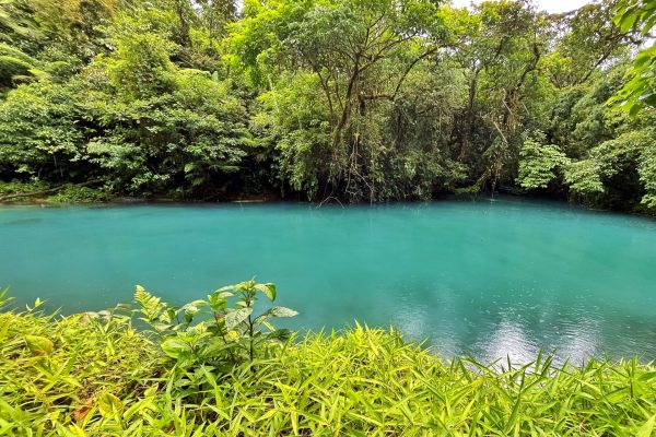 Rio Celeste: Rainforest, Sloths and Wildlife. – Tenorio Volcano National Park, Costa Rica