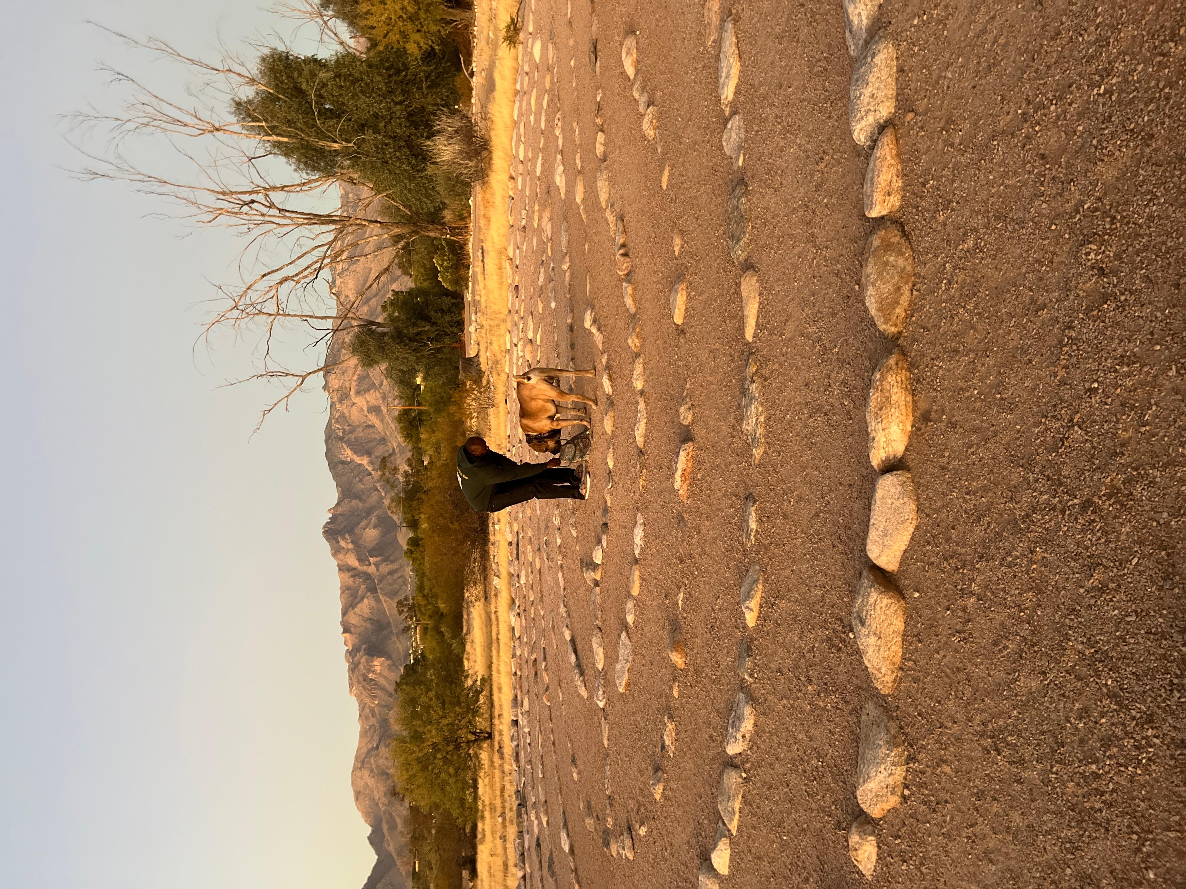 Rio Vista Park: Mindful Nature Walk with Life Coach & Dog – Tucson, Arizona