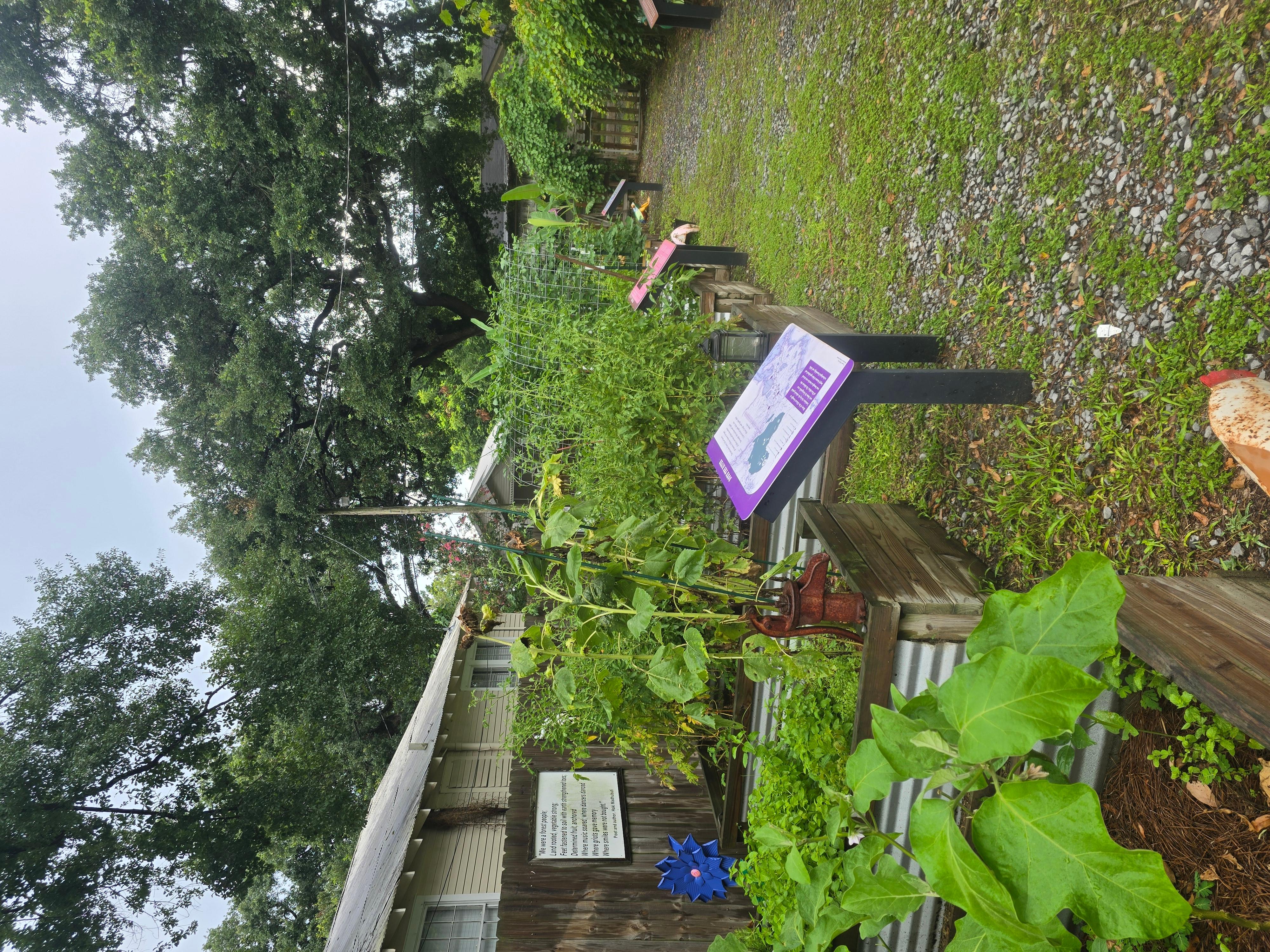 River Road African American Museum Entry Ticket – Donaldsonville, Louisiana